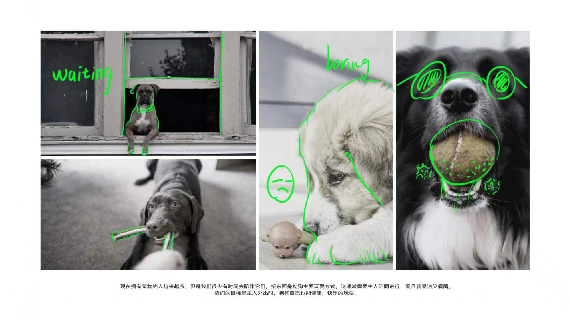 product design，industrial design，sample reels，Pet Supplies & Pet，Tennis launcher，Keyshot rendering，