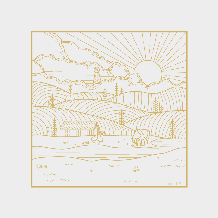 Brand visual image，packing design，Original works，Brand design，Product matrix combing，plane，Brand Visual Image Upgrade，