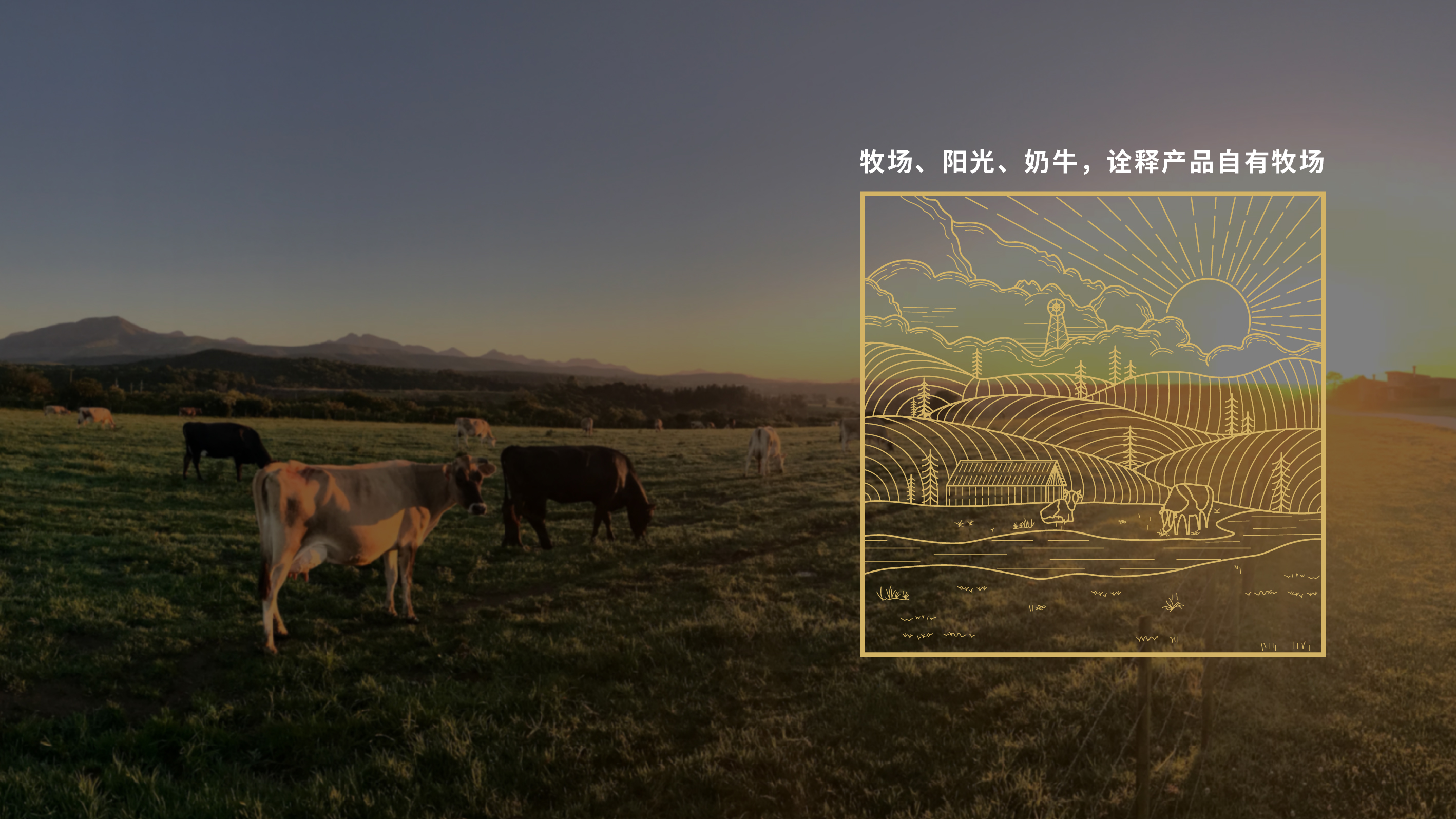 Brand visual image，packing design，Original works，Brand design，Product matrix combing，plane，Brand Visual Image Upgrade，