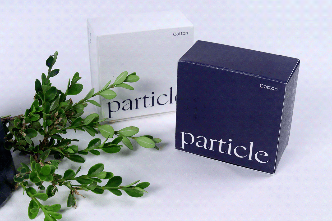 particle，局部清洁，新颖，洗衣，