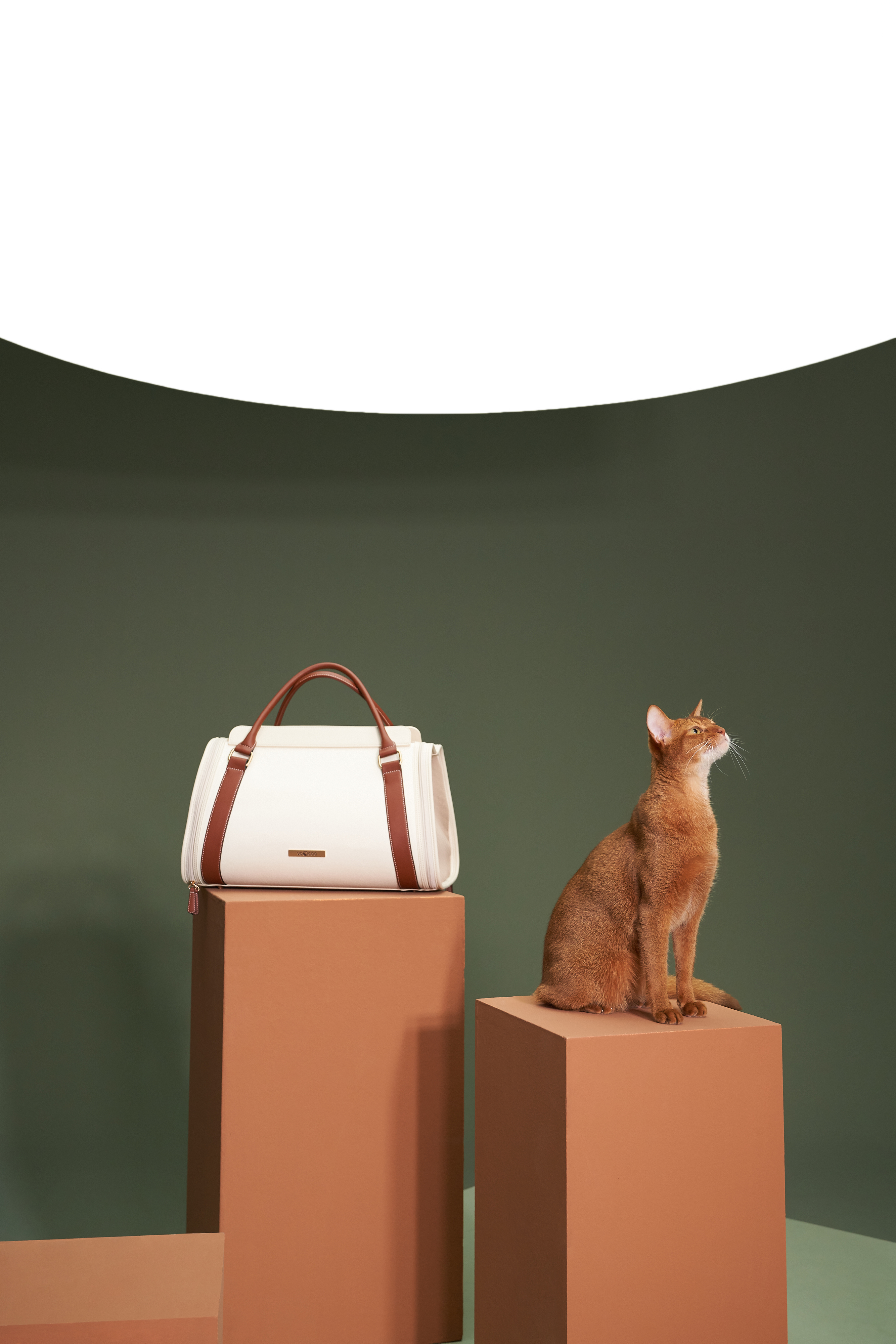 Pets，Kitty，Leather products，Bag，outdoors，Travel，Pet Supplies & Pet，knapsack，