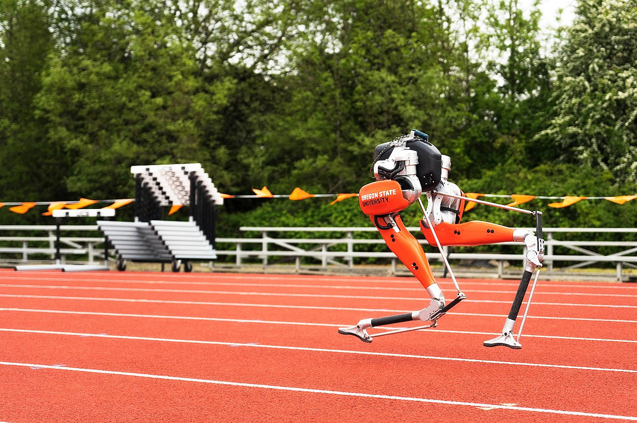 robot，ai，bionics，