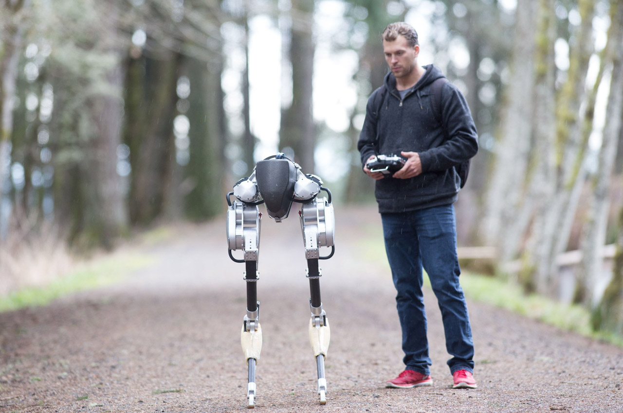 robot，ai，bionics，