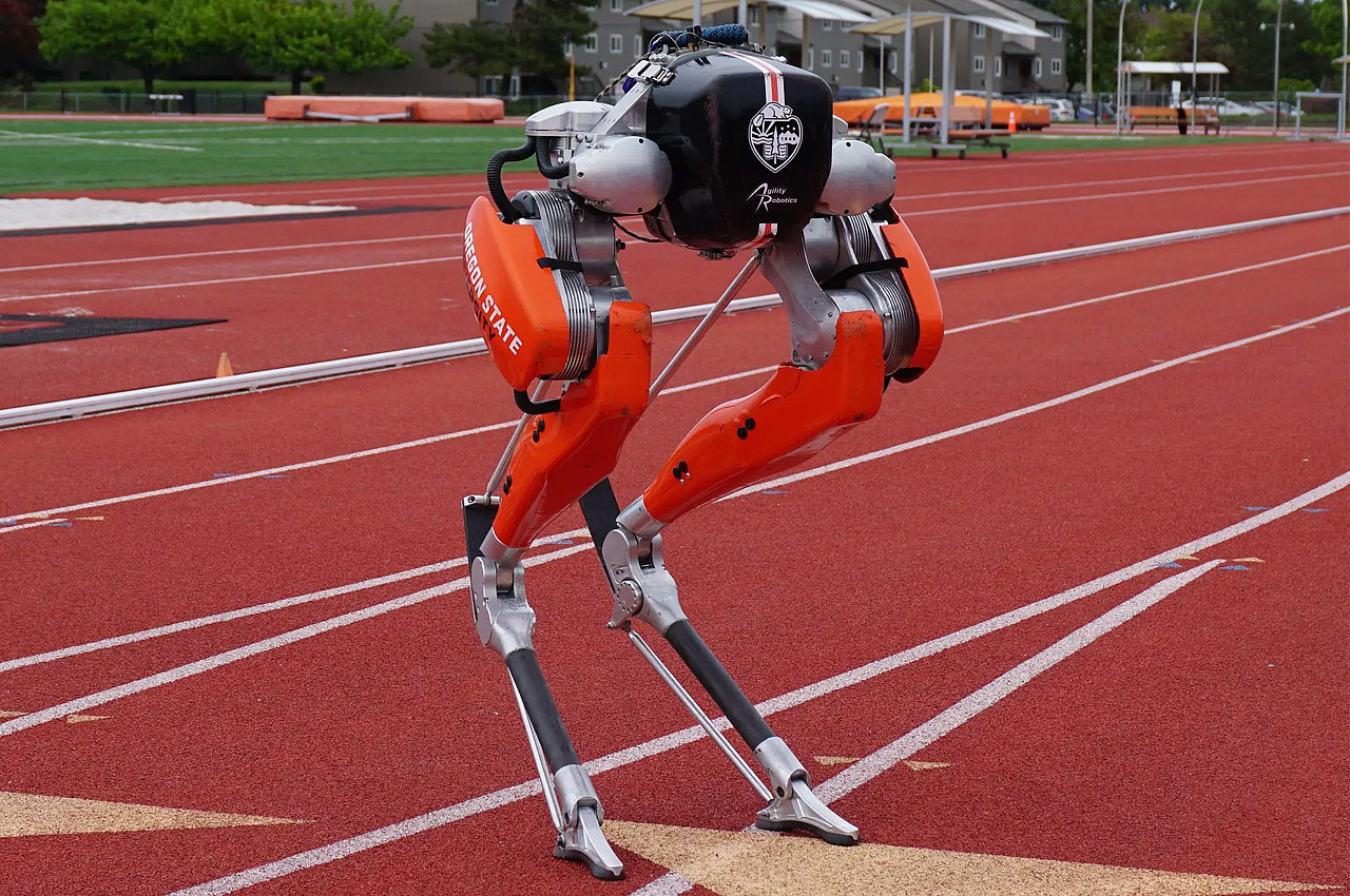 robot，ai，bionics，