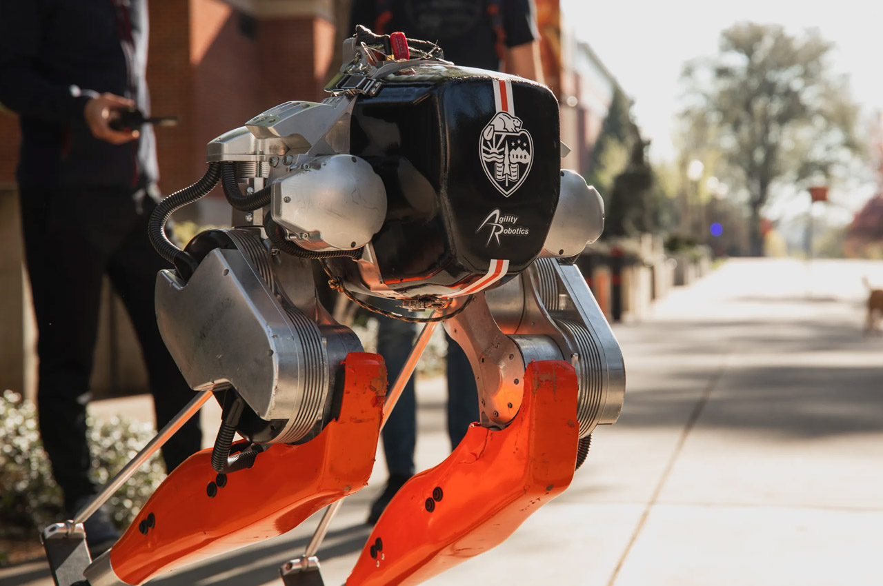 robot，ai，bionics，