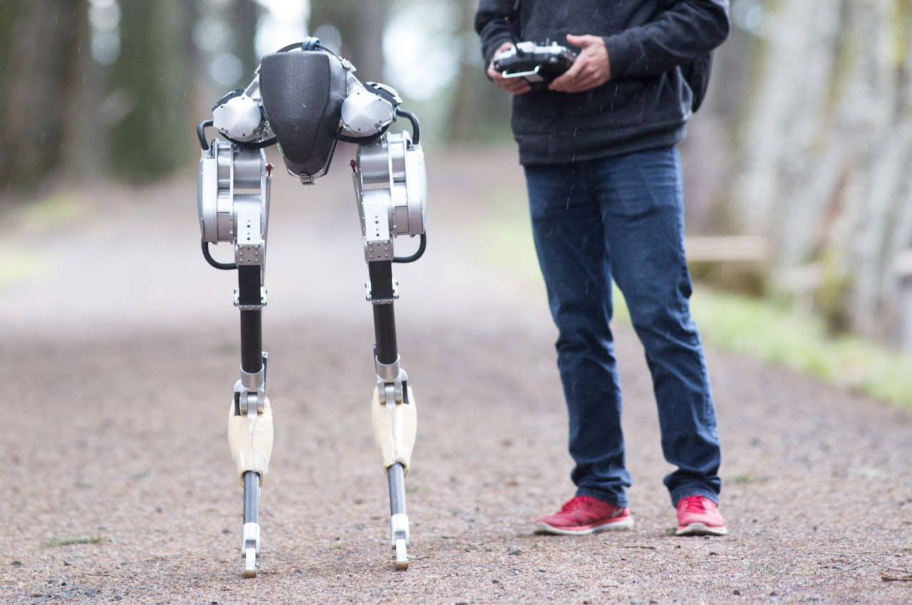 robot，ai，bionics，