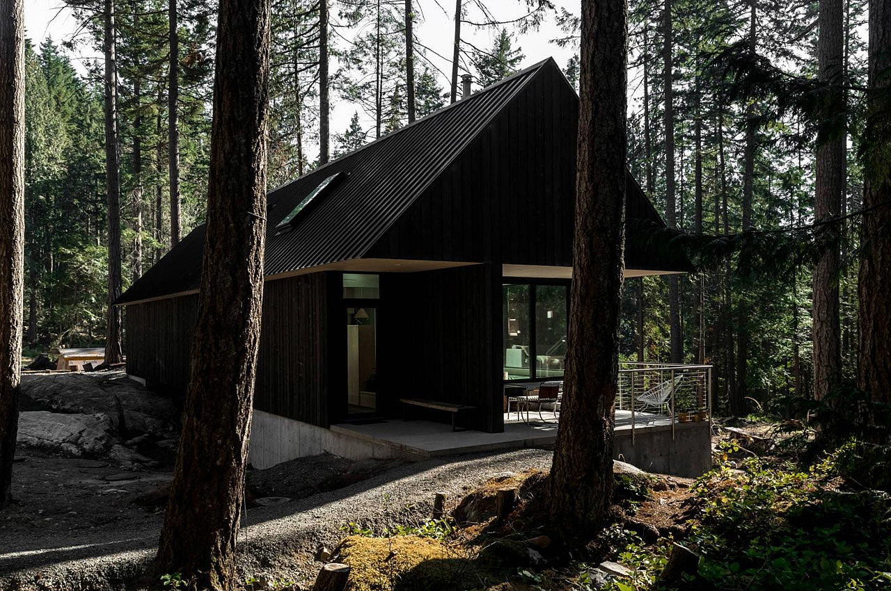 house，natural，forest，Slow tempo，