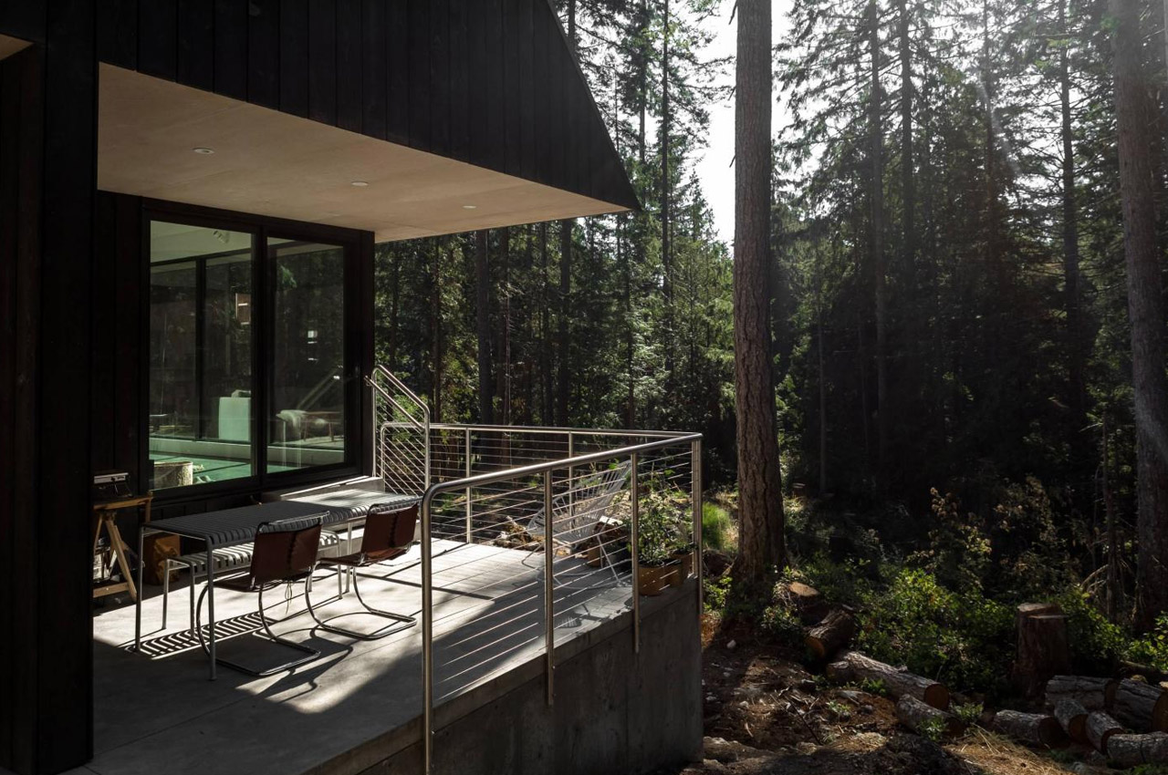 house，natural，forest，Slow tempo，