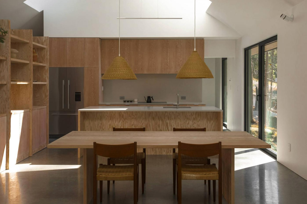 house，natural，forest，Slow tempo，