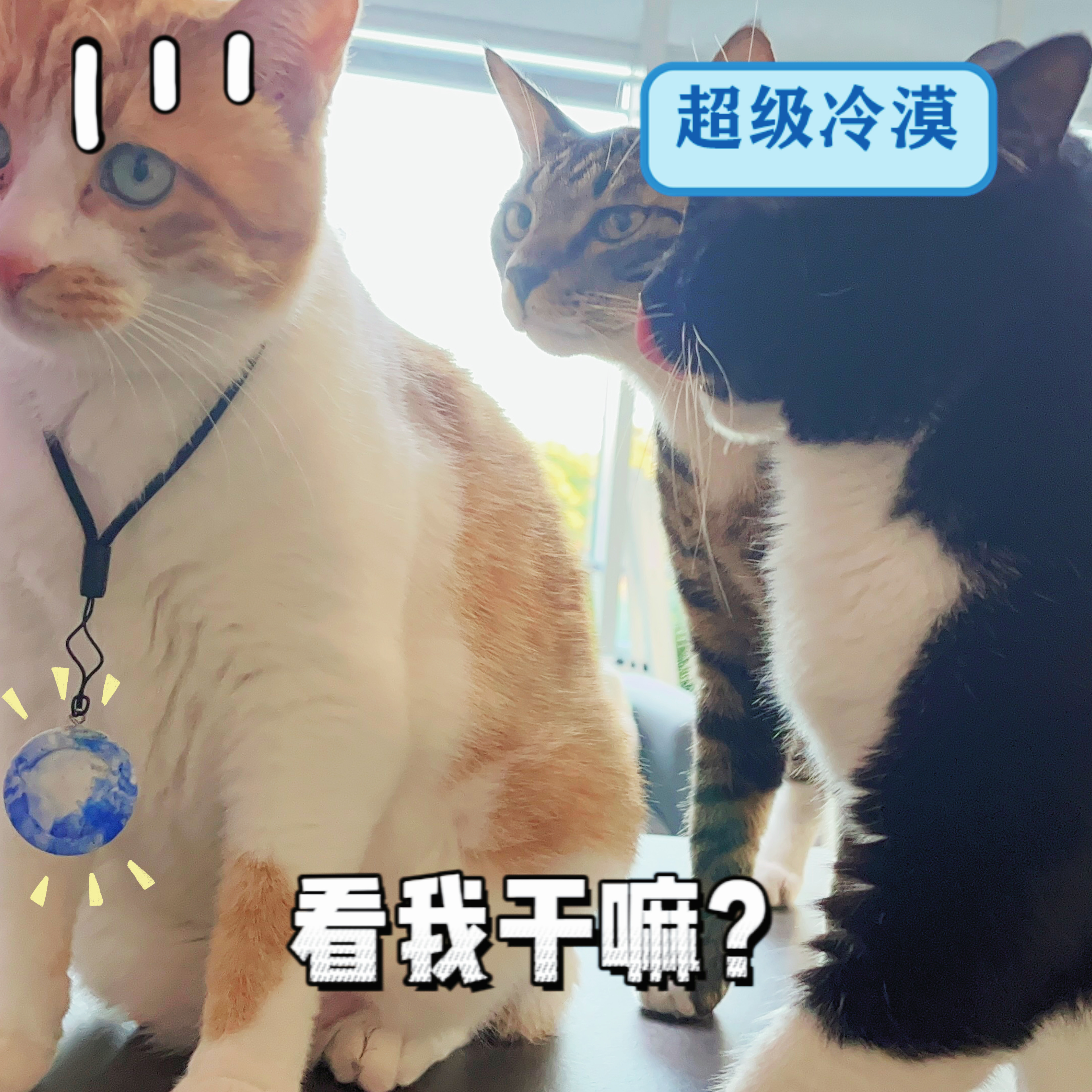 bottle cap，Sustainable design，Recycling，