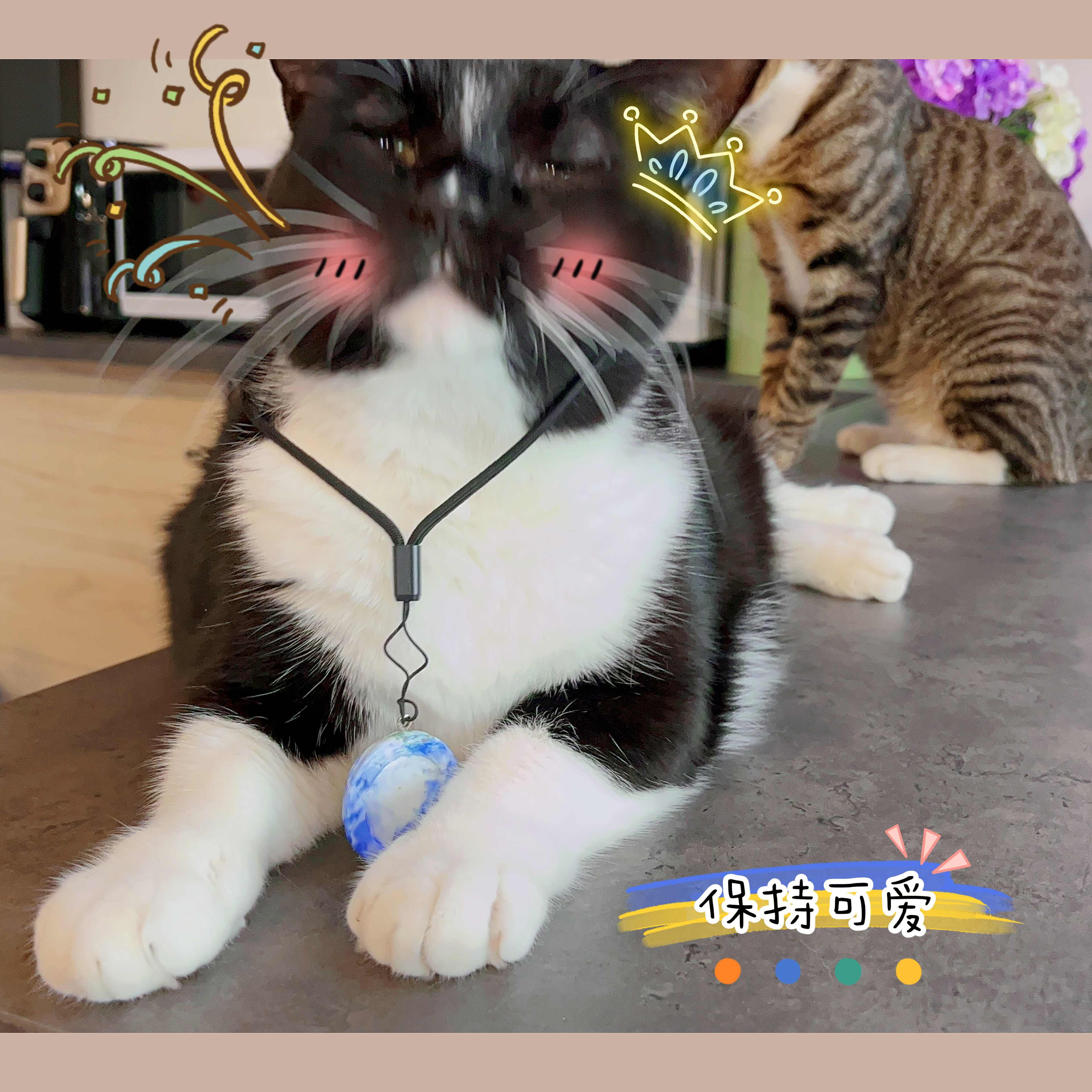 bottle cap，Sustainable design，Recycling，