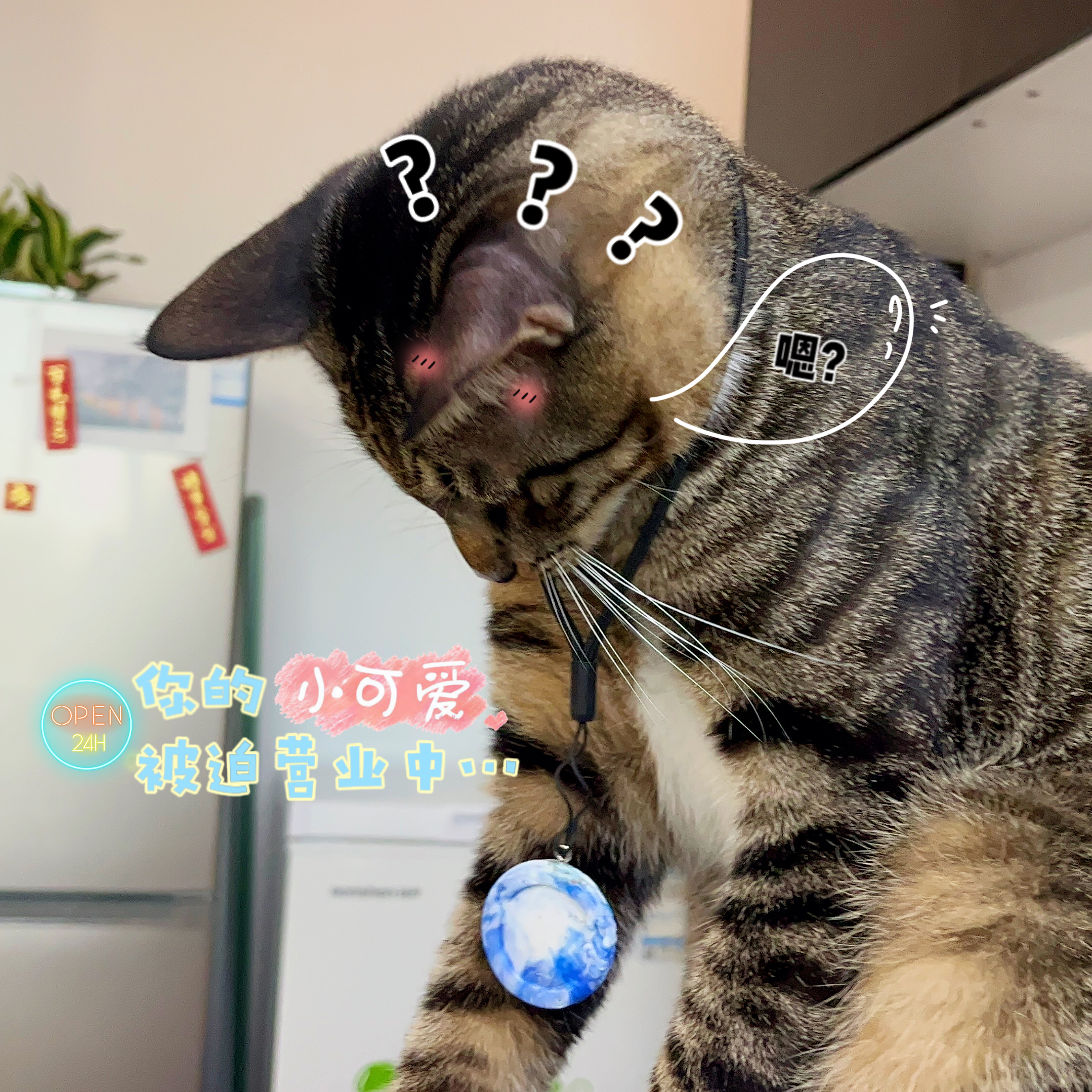 bottle cap，Sustainable design，Recycling，