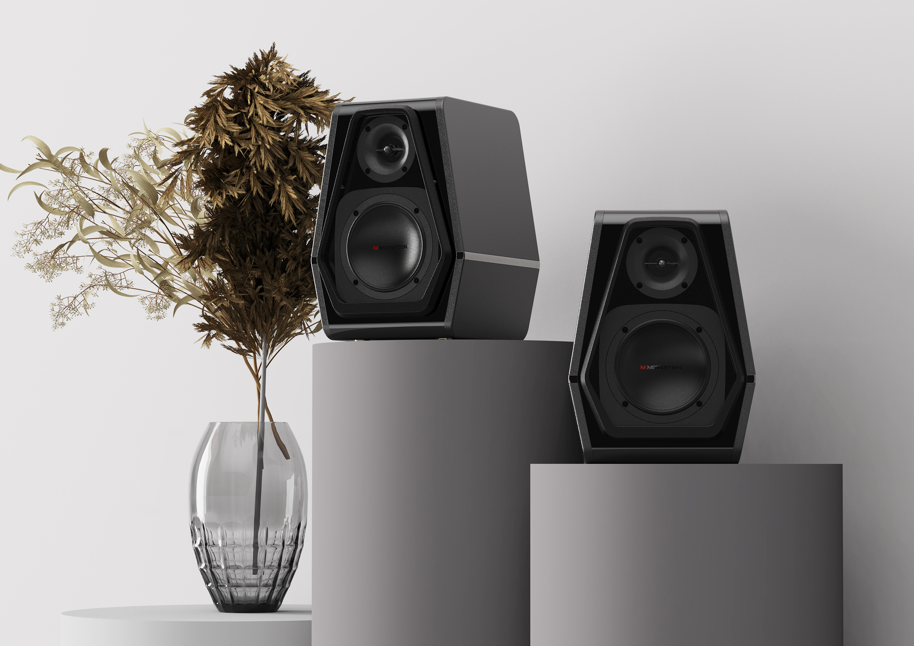 MONSTER high-end bookshelf stereo，