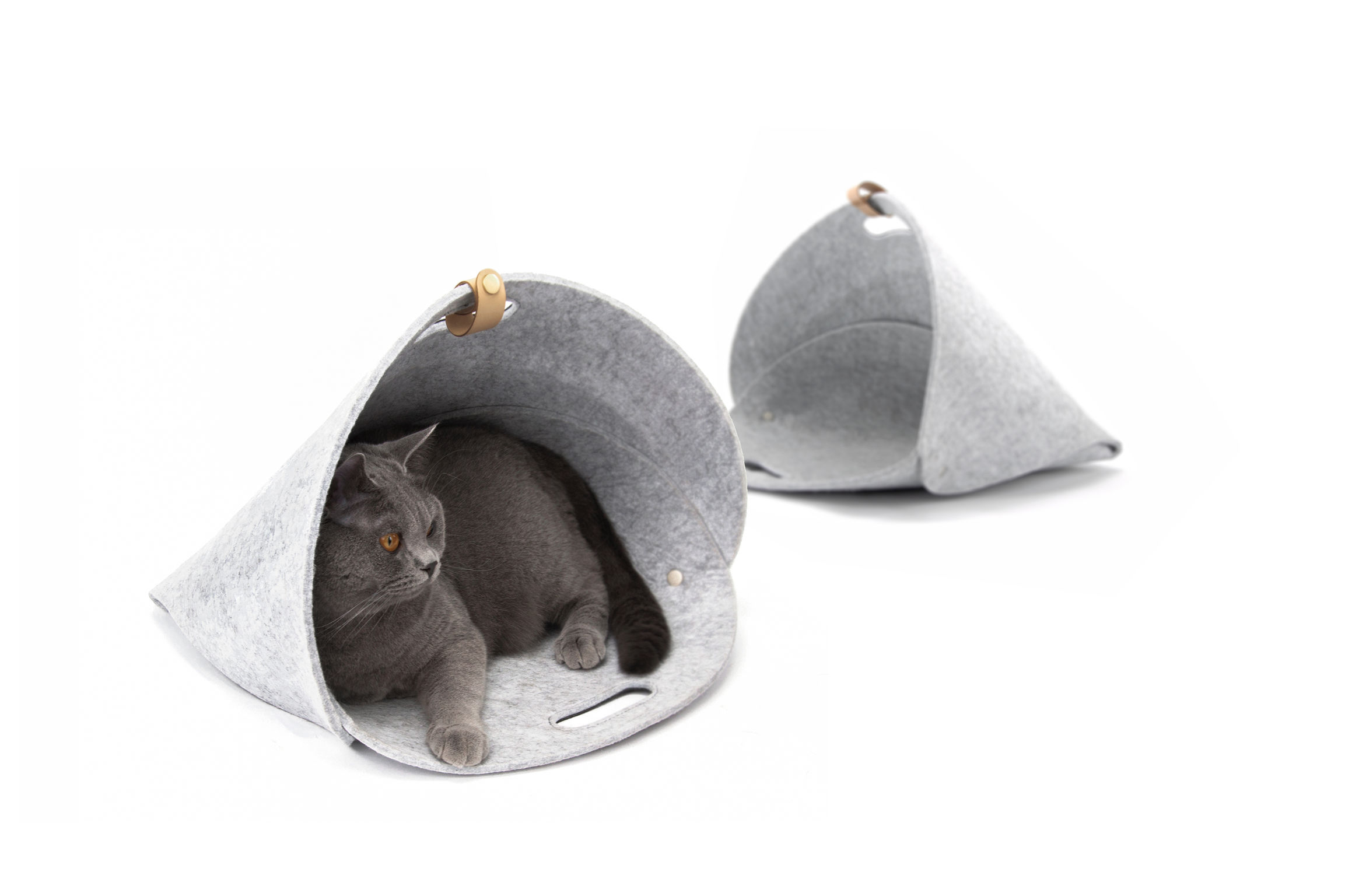 product design，leisure time，Pet bed，