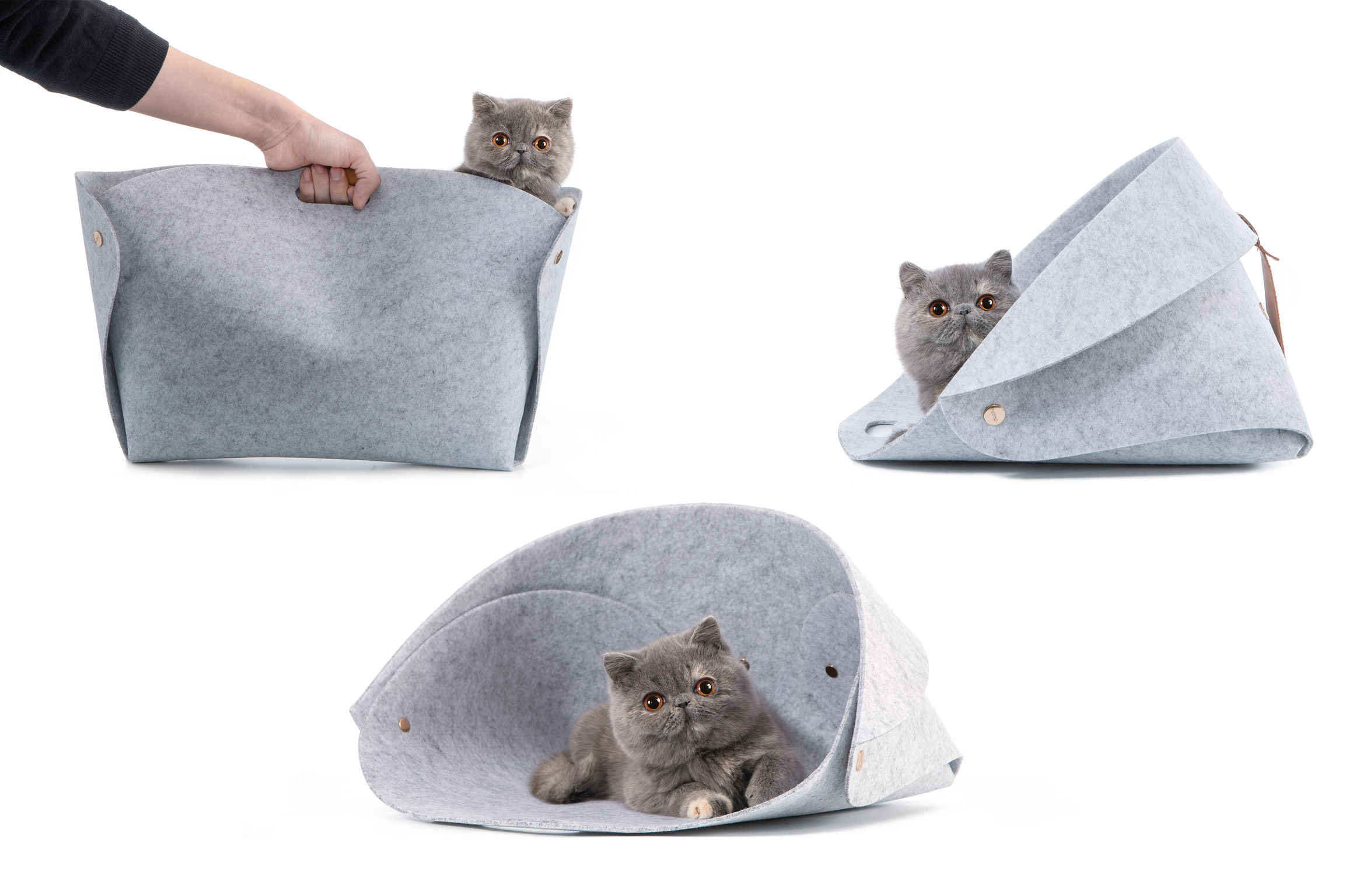 product design，leisure time，Pet bed，