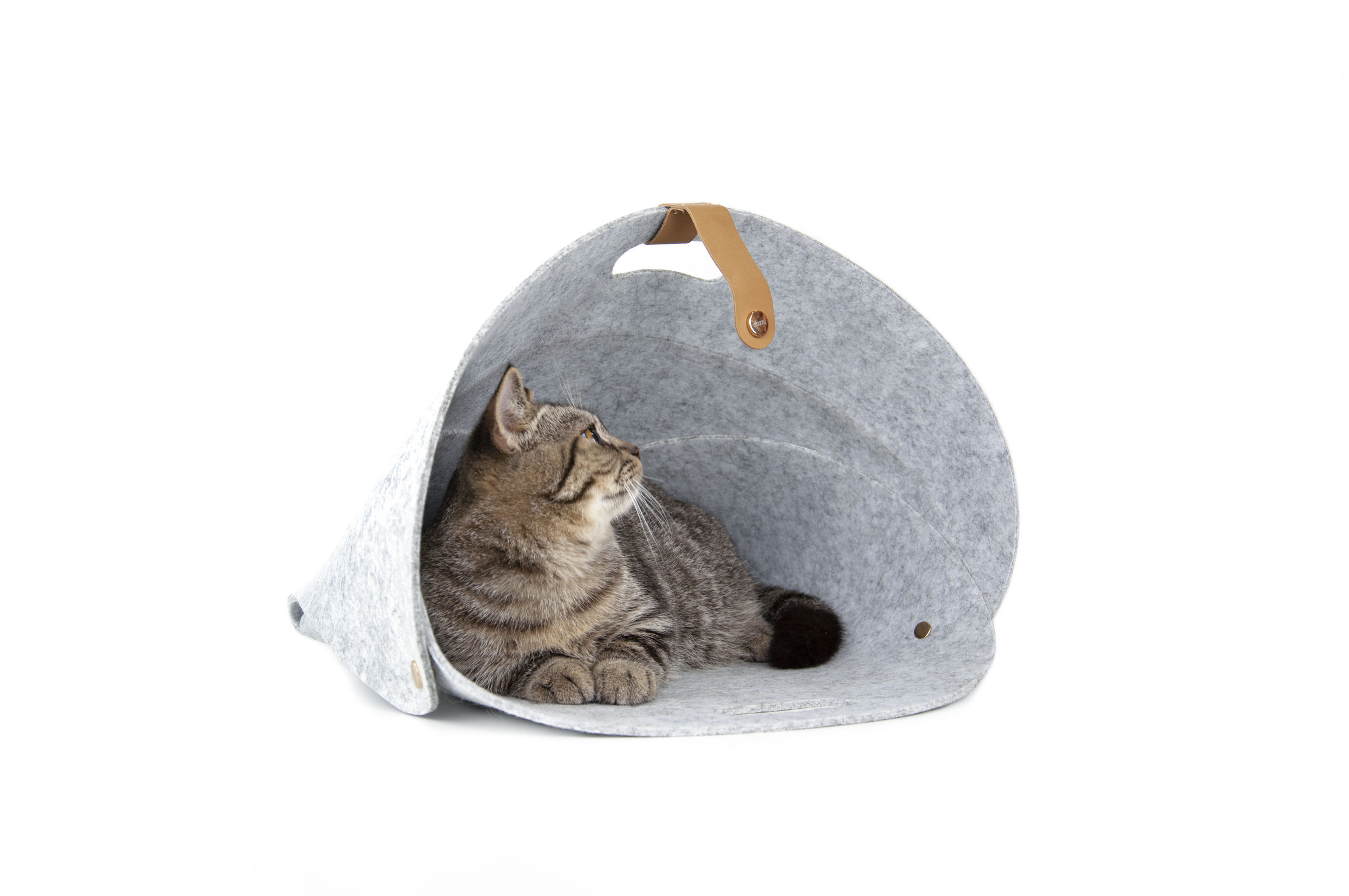 product design，leisure time，Pet bed，