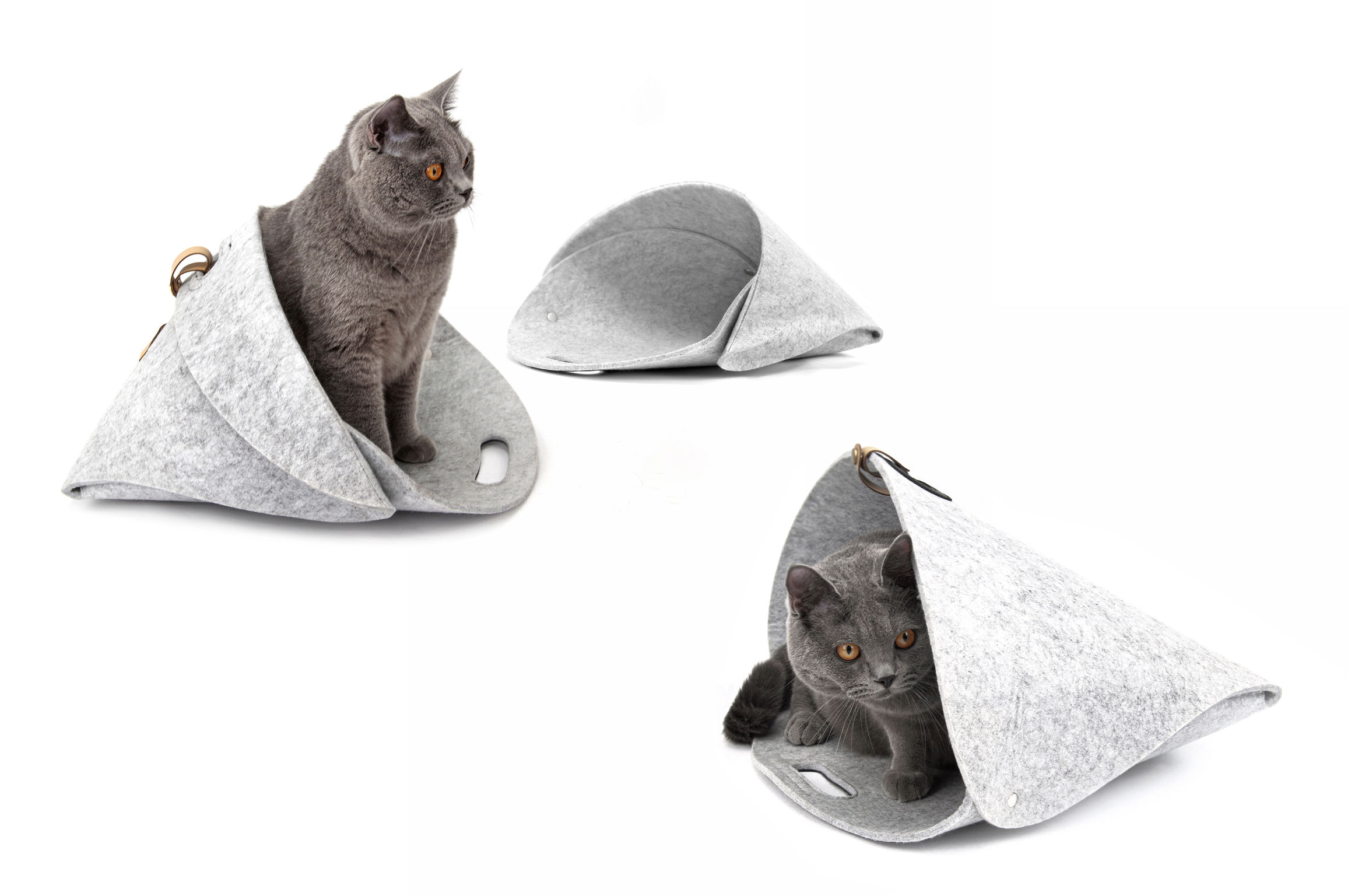 product design，leisure time，Pet bed，