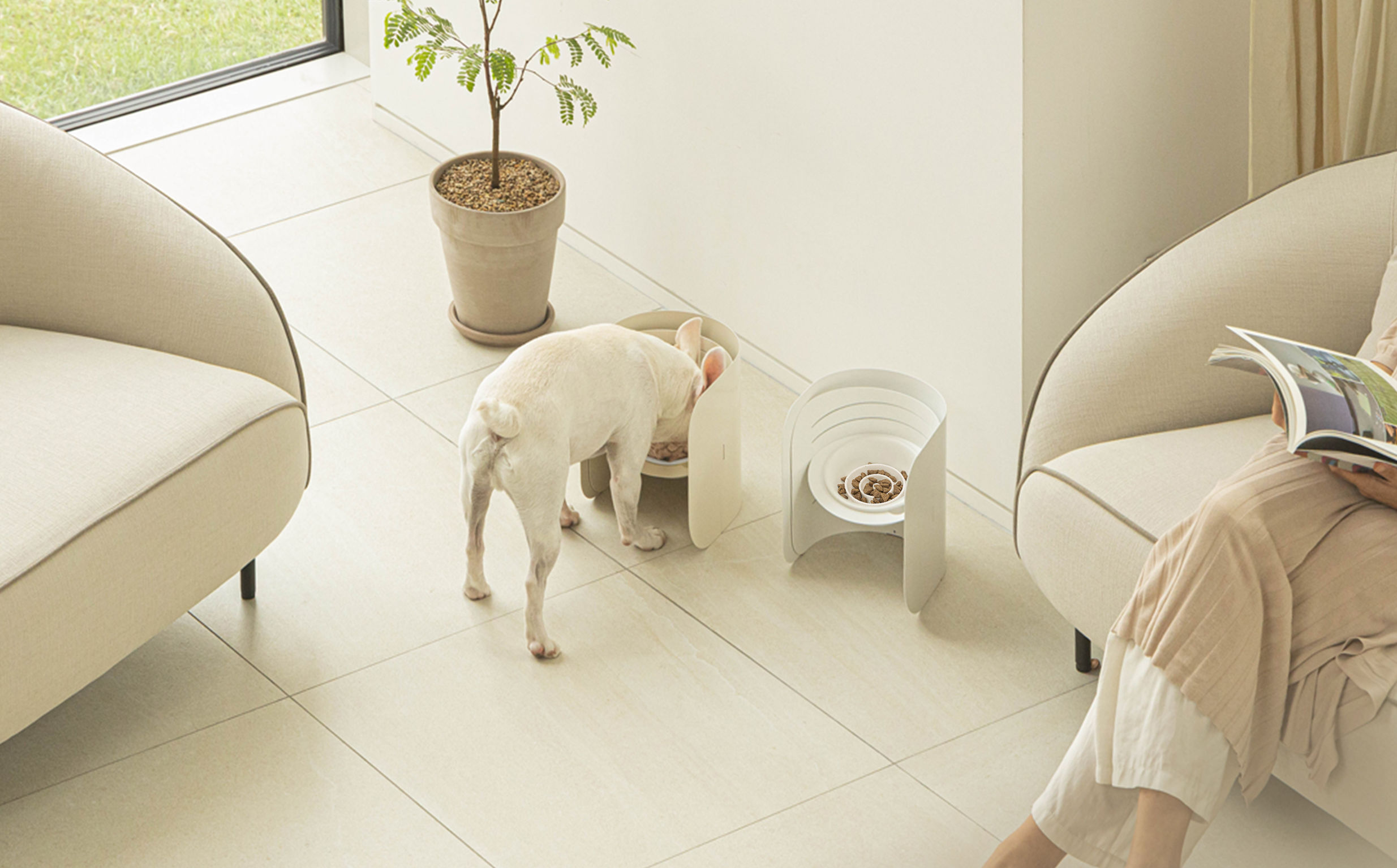 product design，leisure time，Pet accessories，