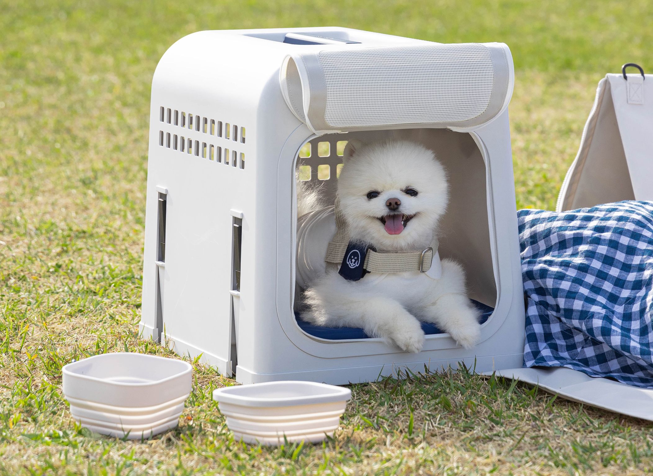product design，leisure time，Pet carrier，