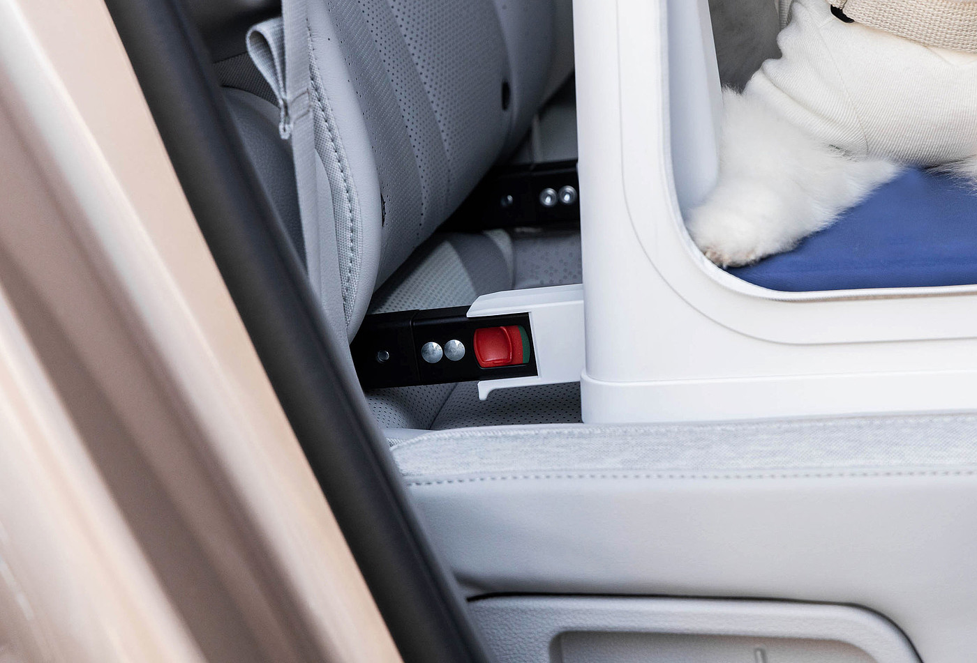 product design，leisure time，Pet carrier，