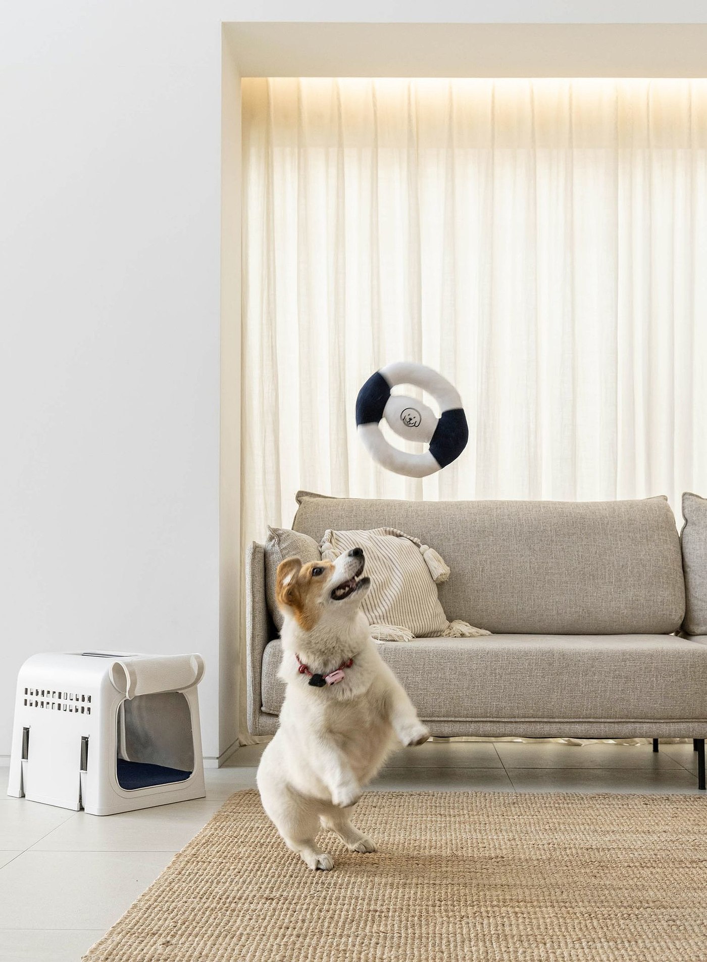 product design，leisure time，Pet carrier，