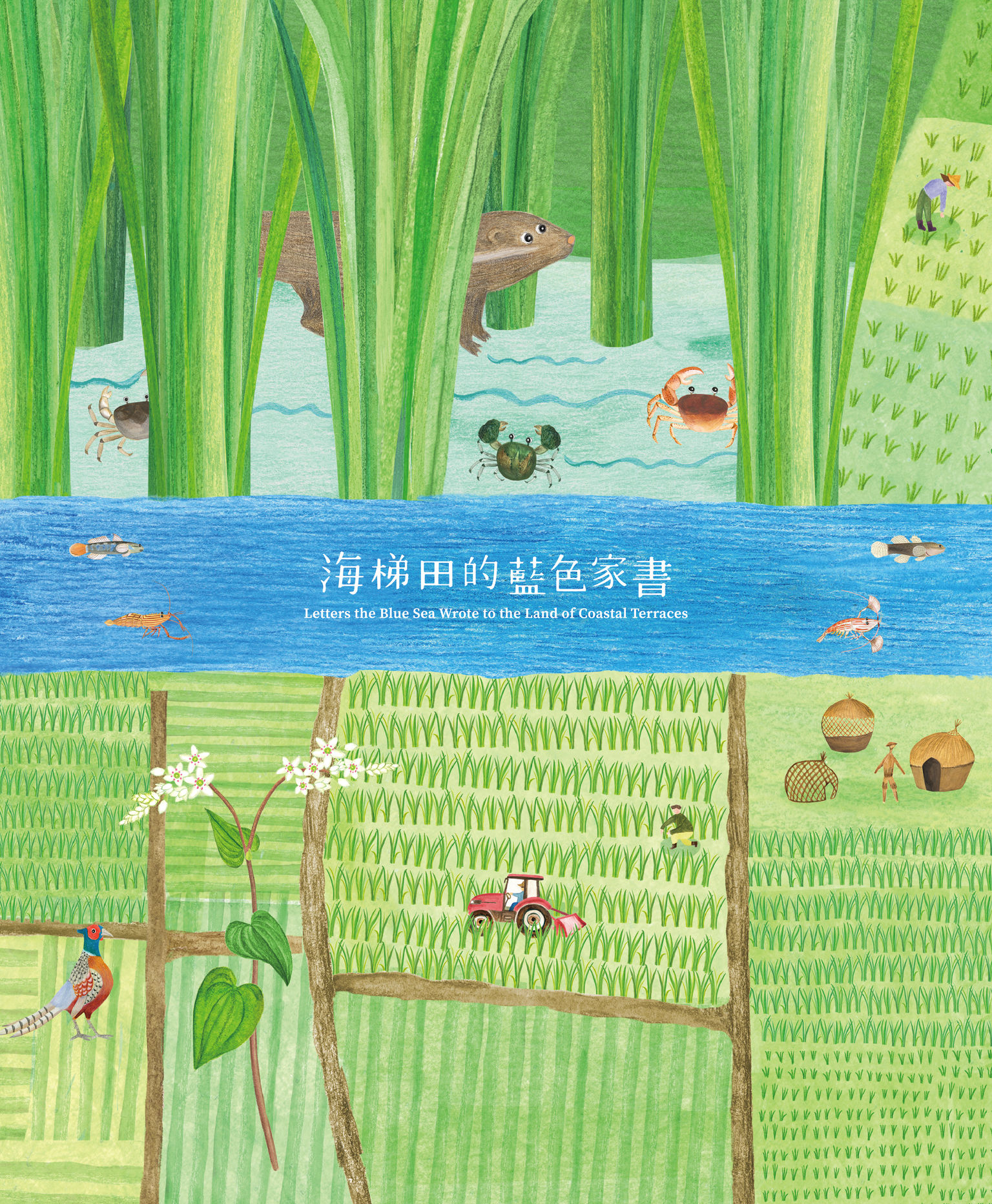 Communication design，Printed publications，Series of books，