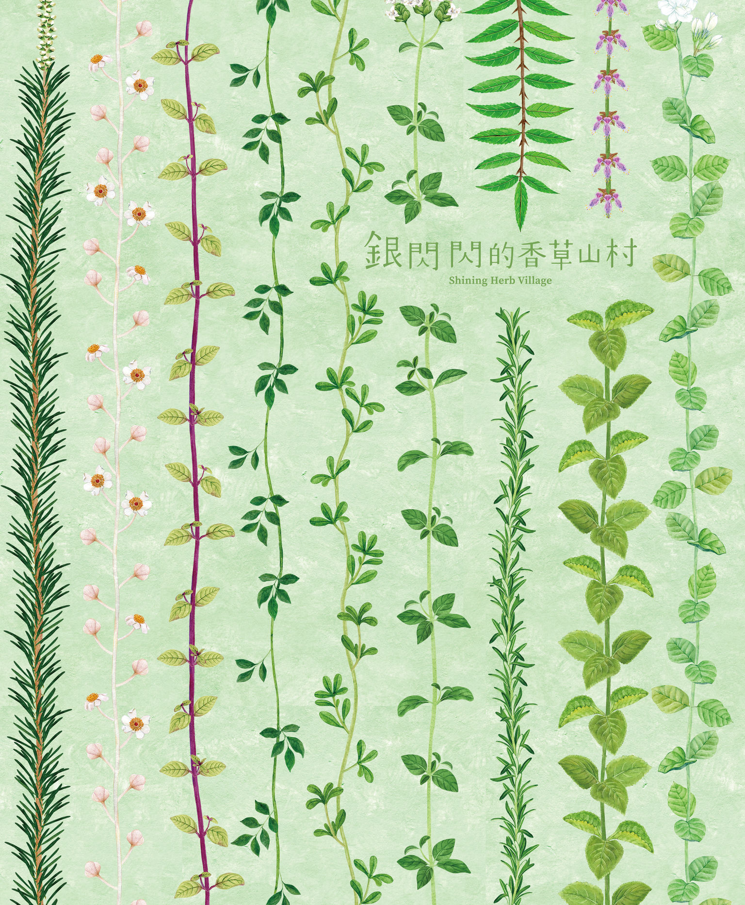 Communication design，Printed publications，Series of books，