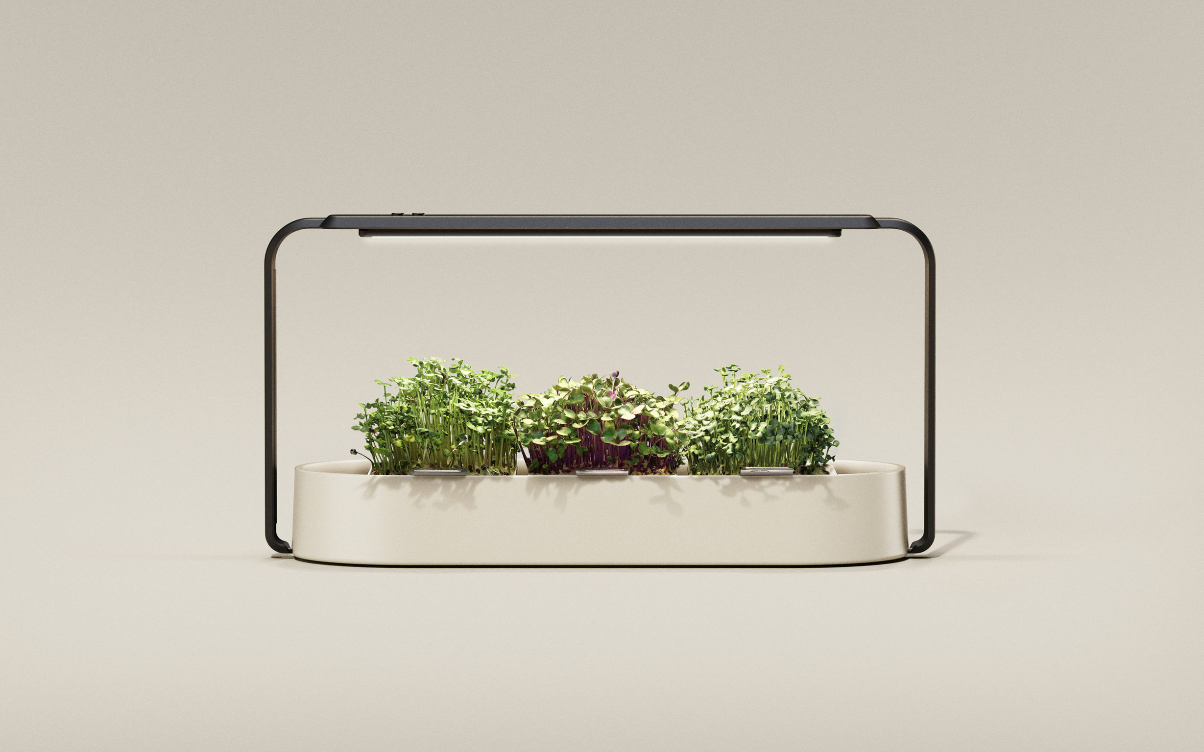 product design，Home/tableware，Gardening kit，