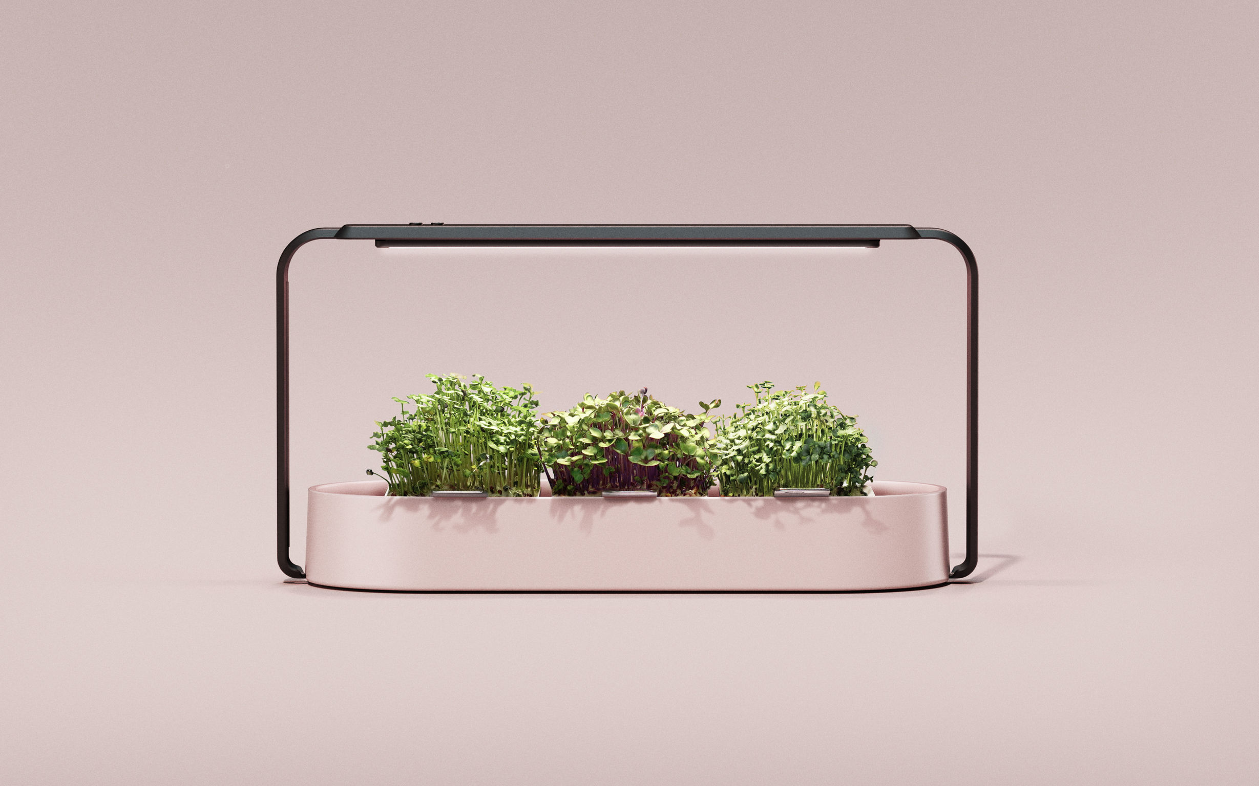 product design，Home/tableware，Gardening kit，