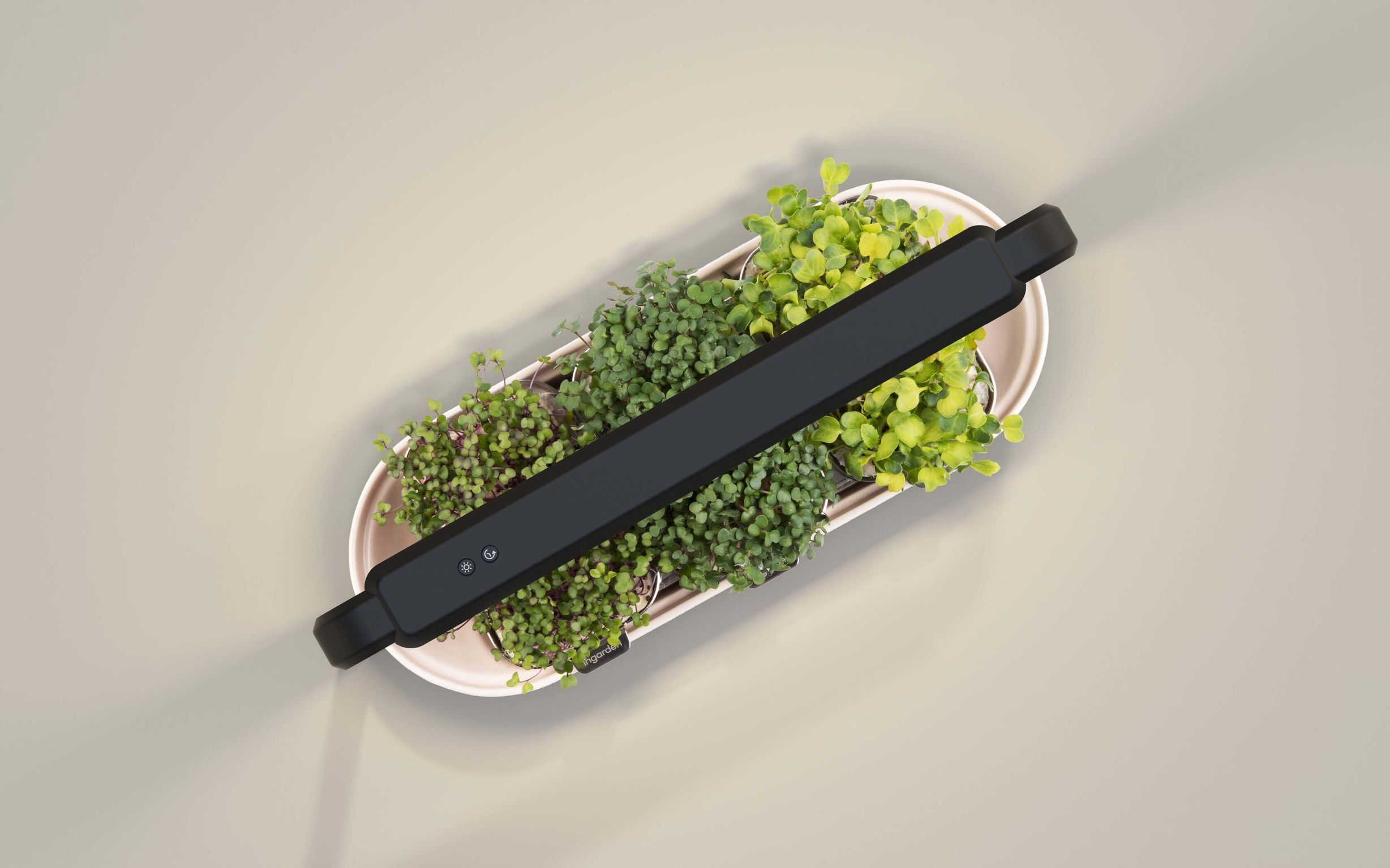 product design，Home/tableware，Gardening kit，