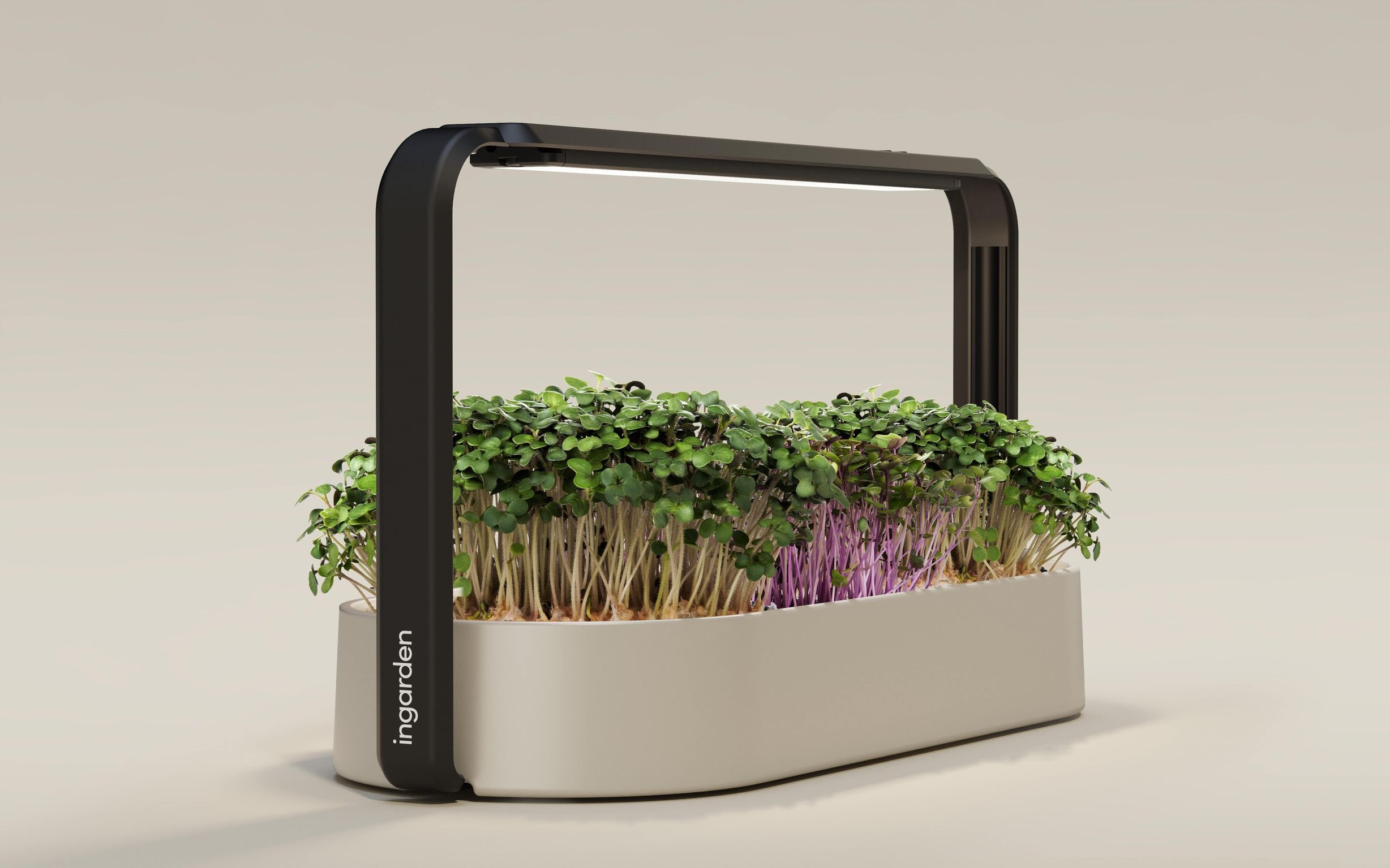 product design，Home/tableware，Gardening kit，