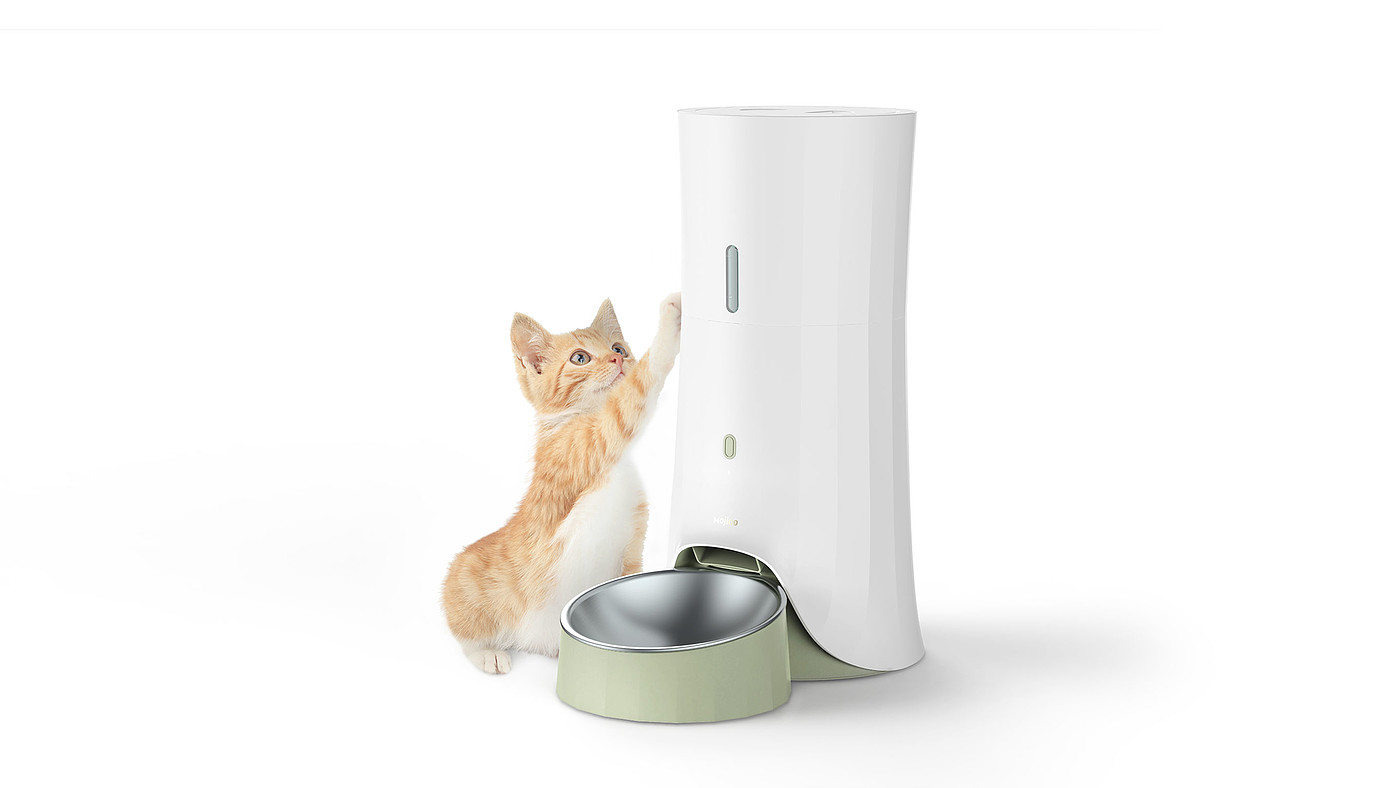 product design，leisure time，Pet accessories，