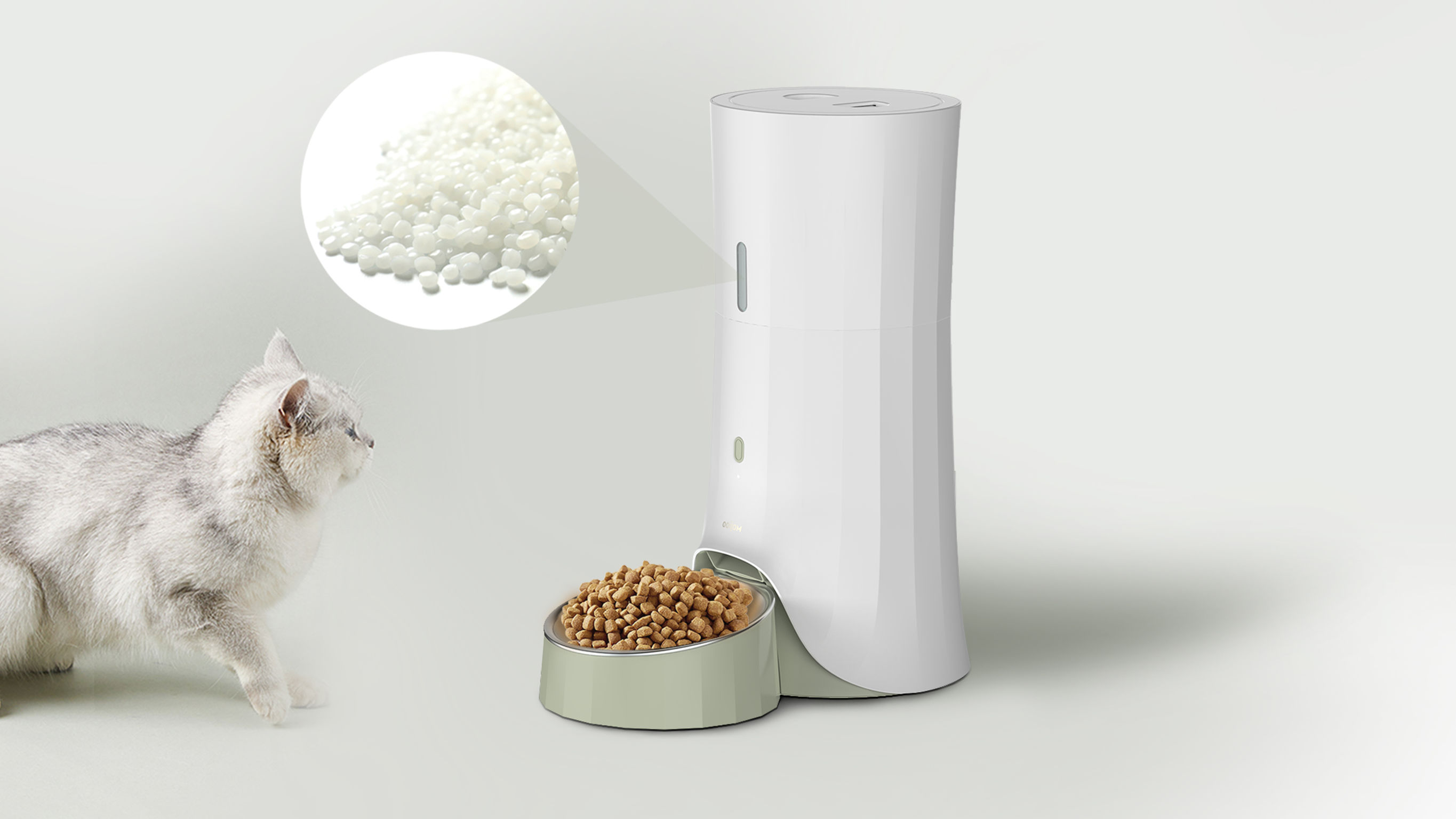 product design，leisure time，Pet accessories，