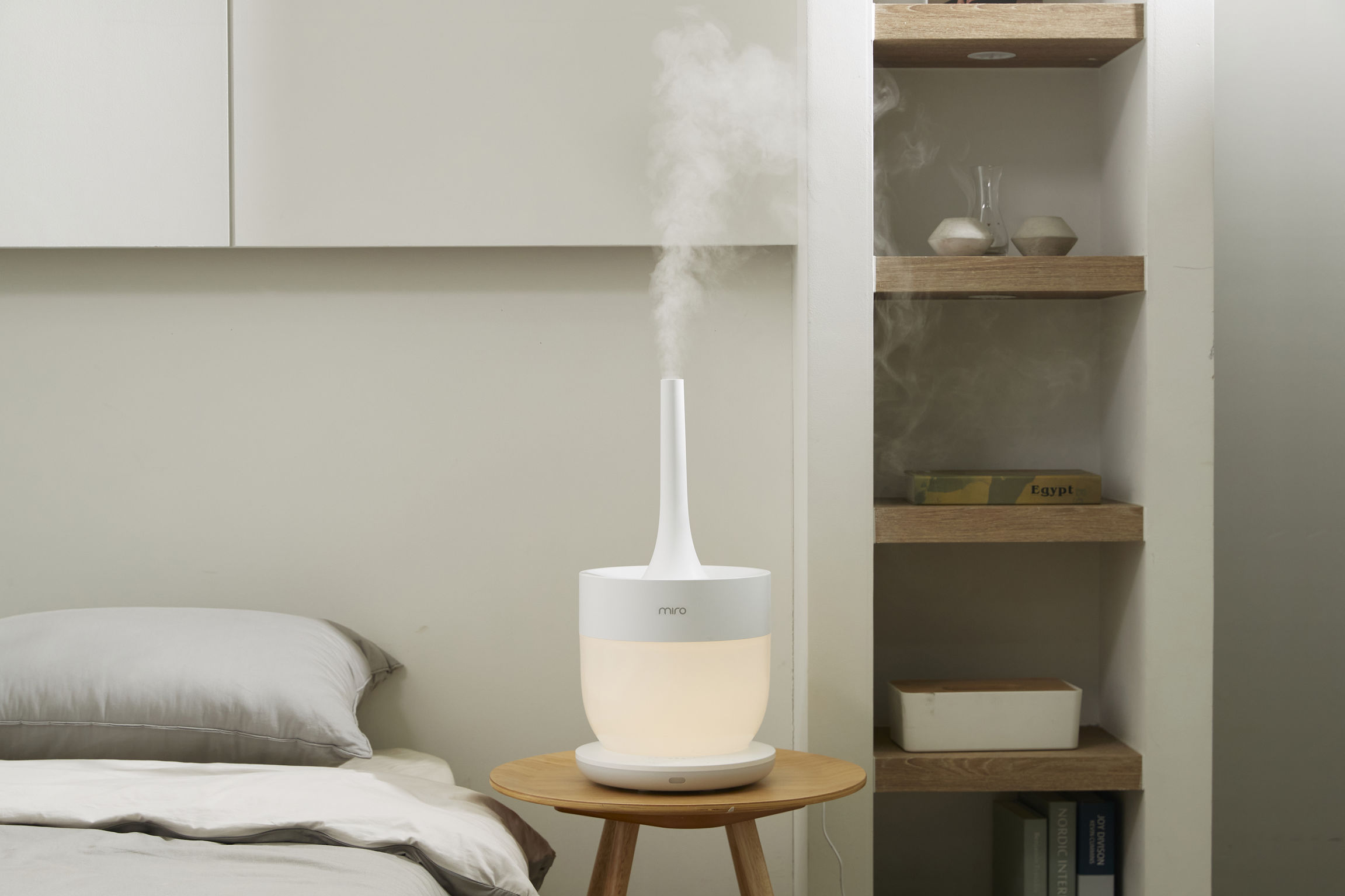 product design，Home/tableware，Humidifier，