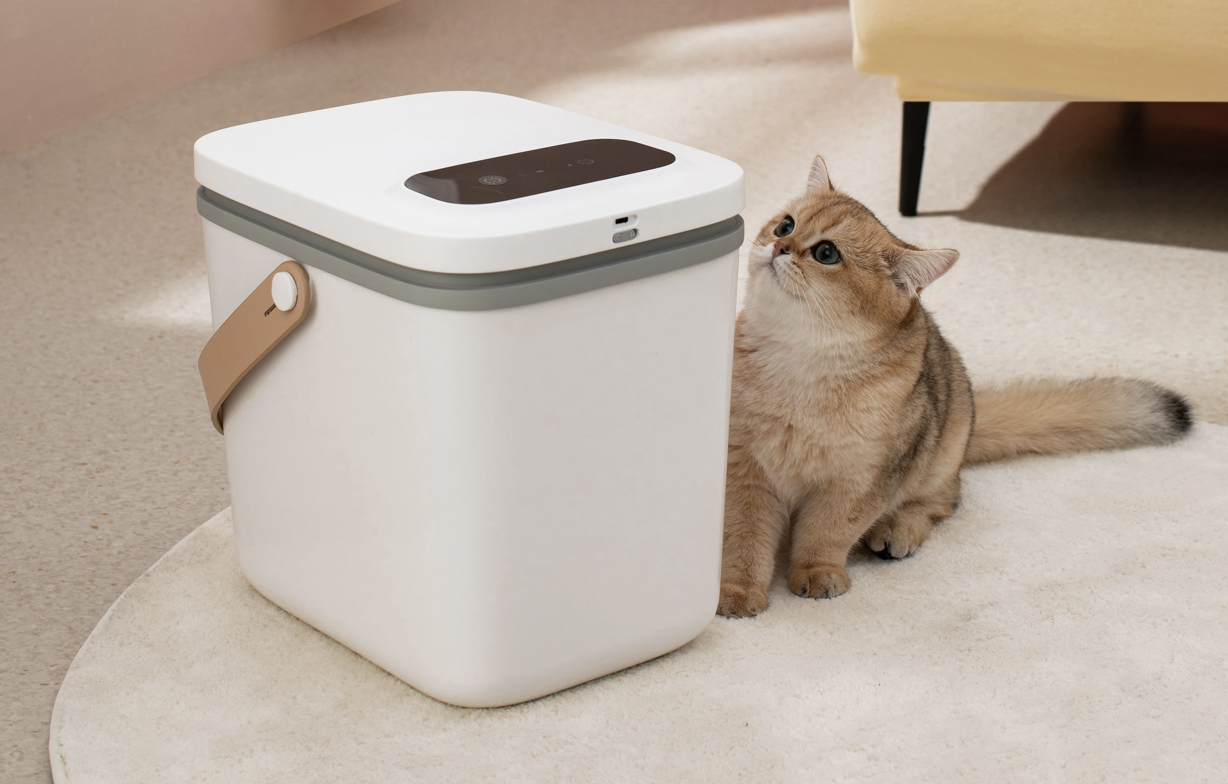 product design，leisure time，Pet accessories，