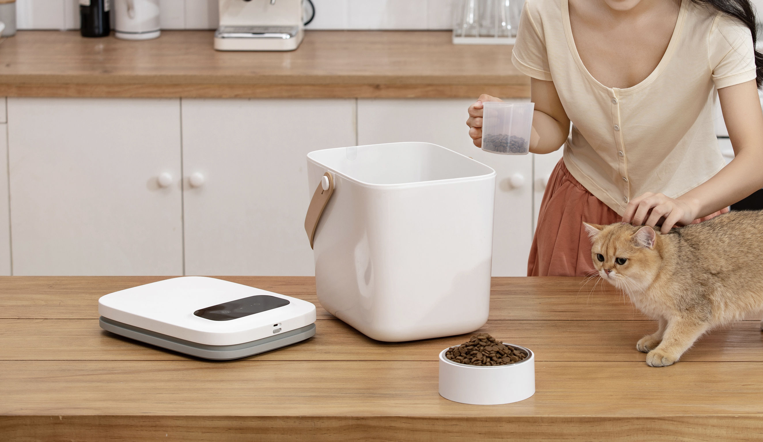 product design，leisure time，Pet accessories，