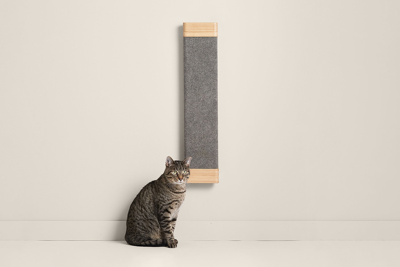 product design，leisure time，Pet accessories，