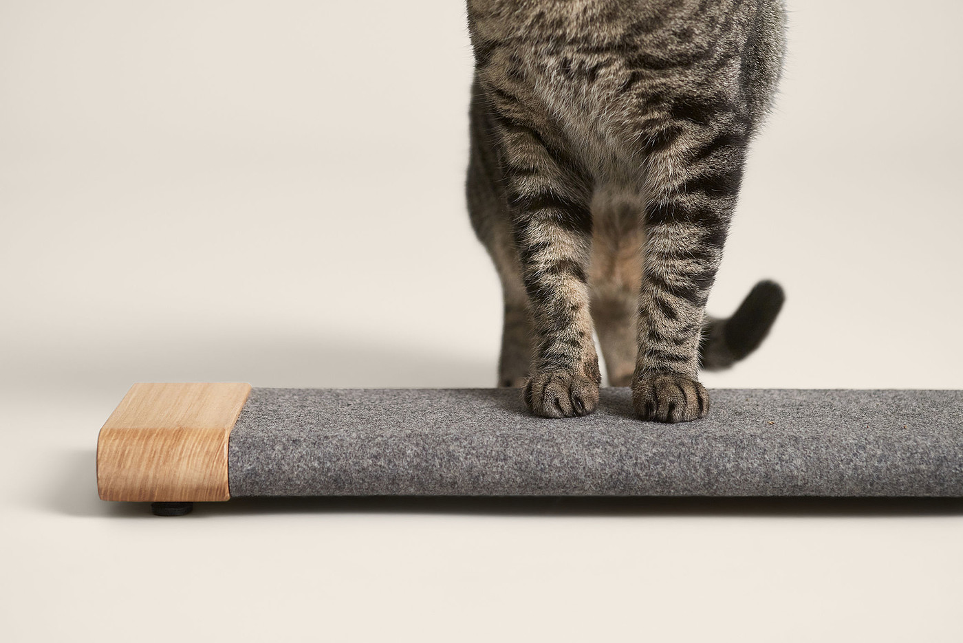 product design，leisure time，Pet accessories，