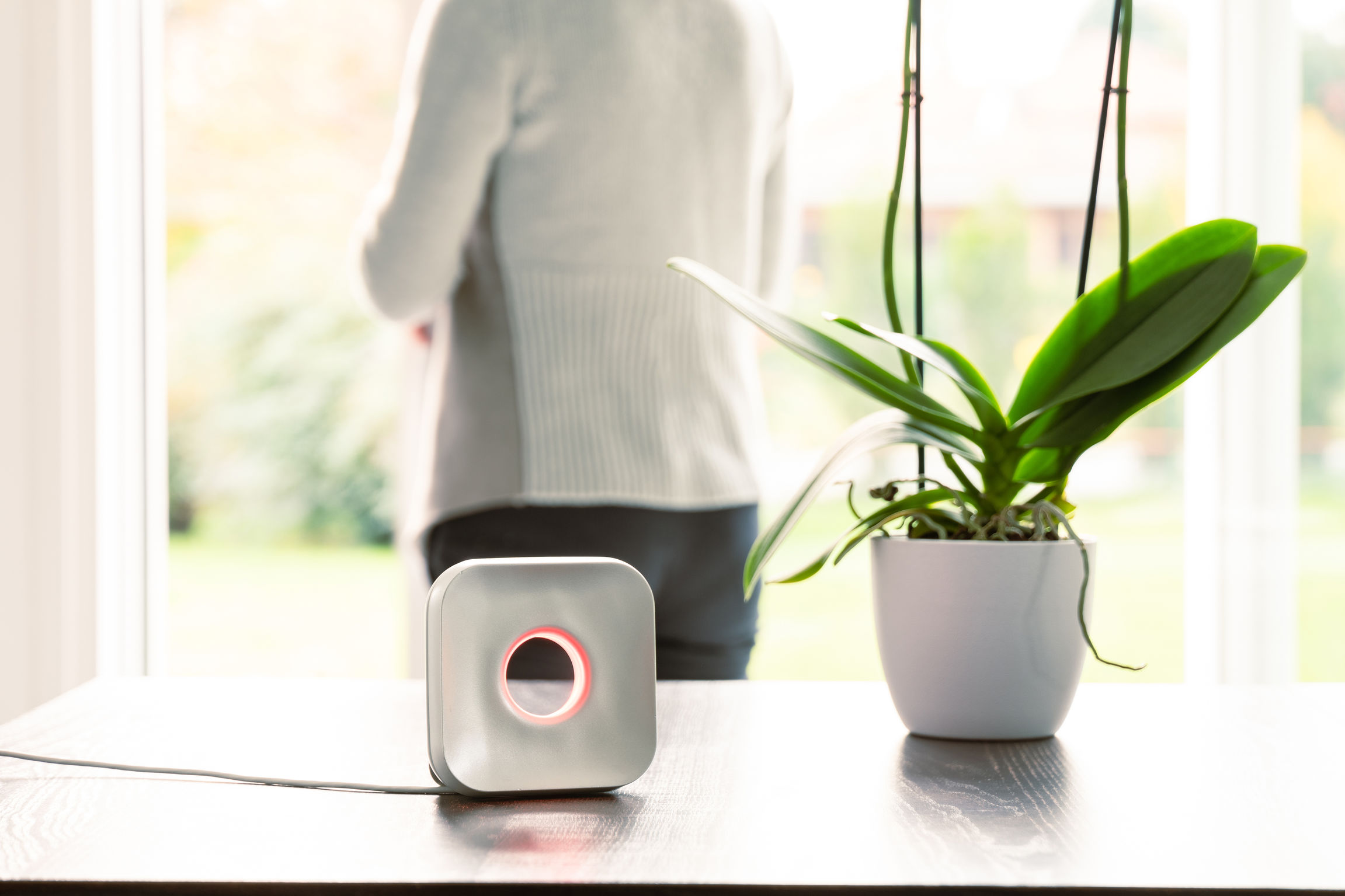 product design，Home/tableware，Indoor air quality monitor，