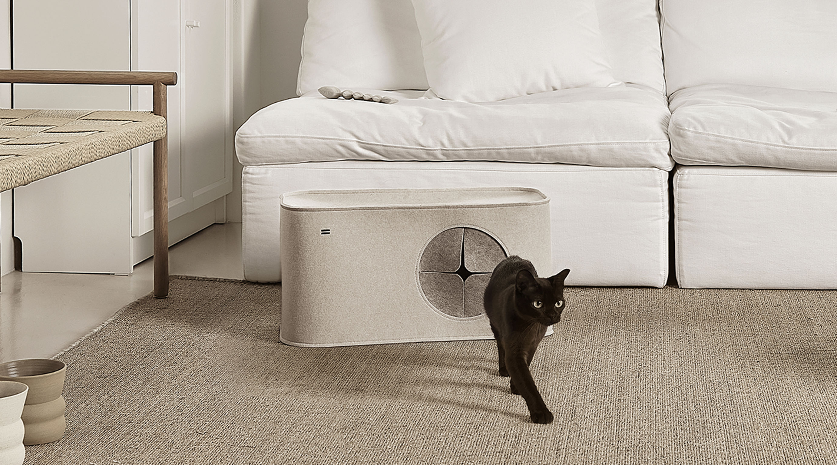 product design，leisure time，Pet accessories，