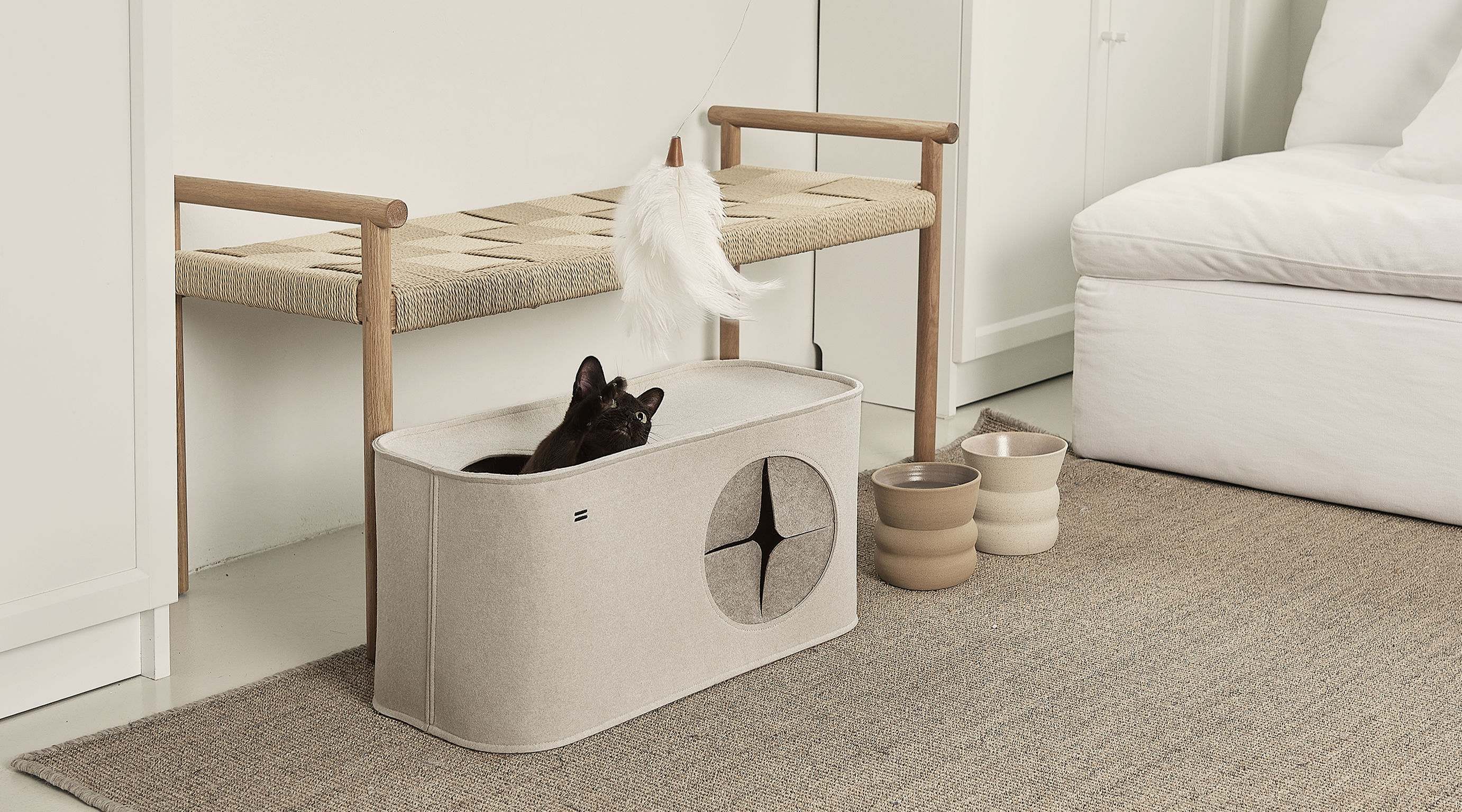 product design，leisure time，Pet accessories，