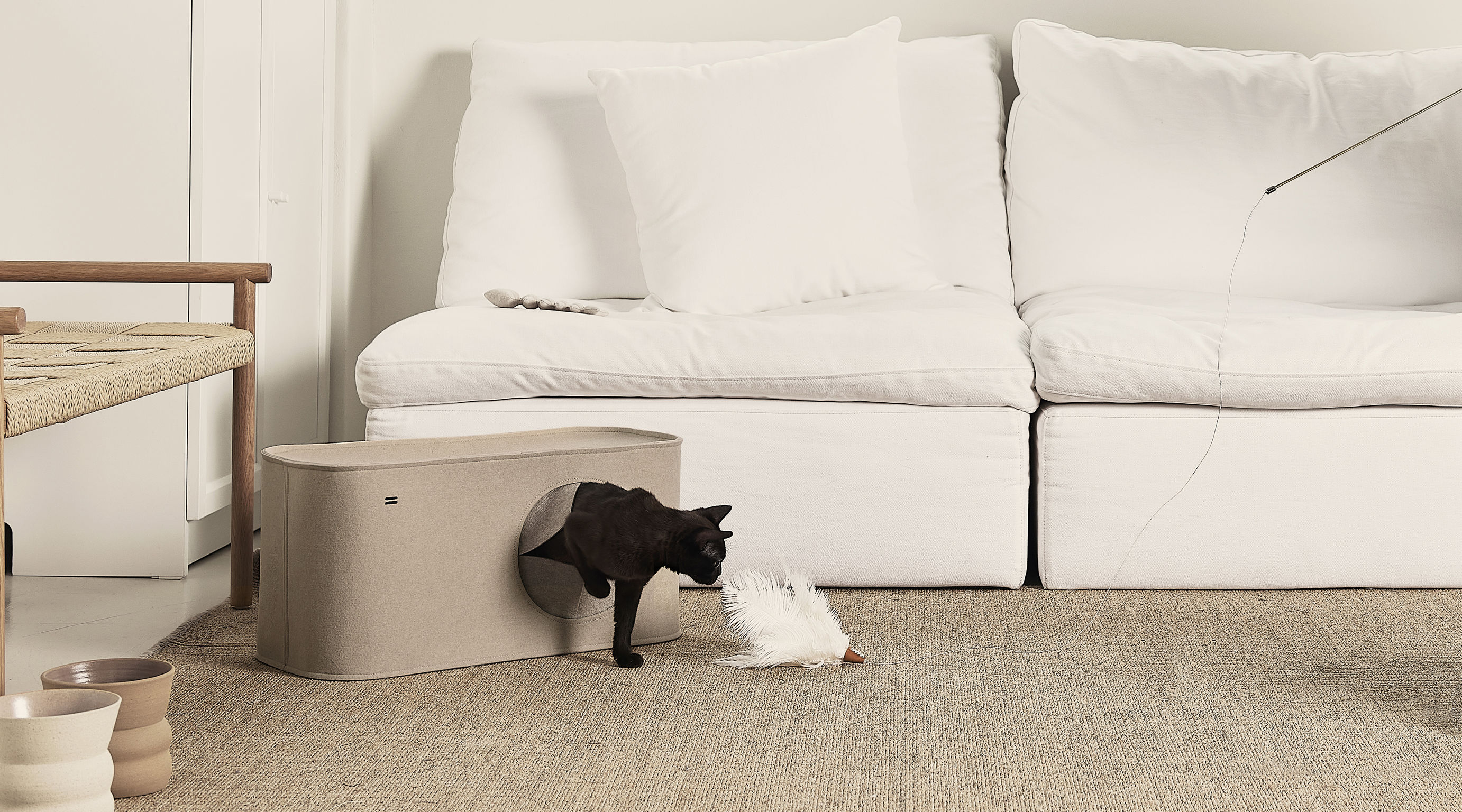 product design，leisure time，Pet accessories，