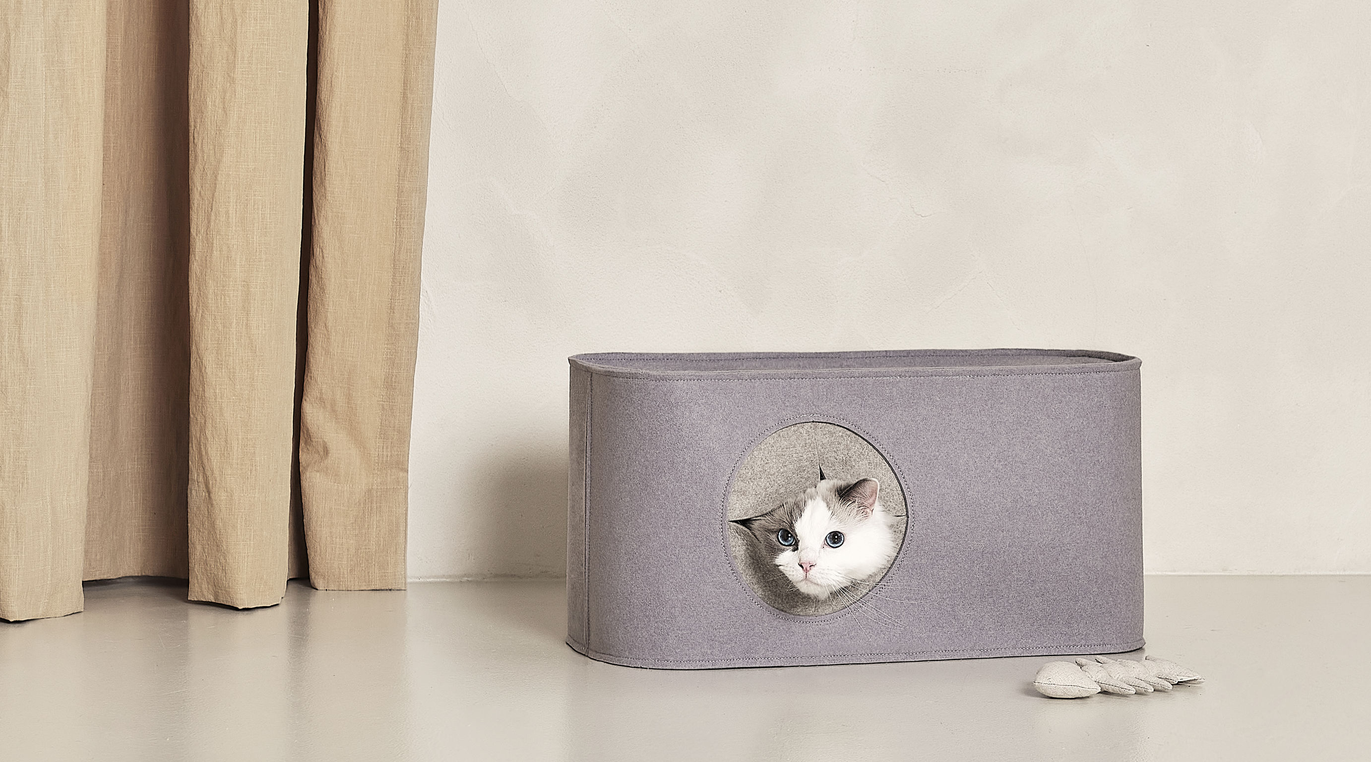 product design，leisure time，Pet accessories，