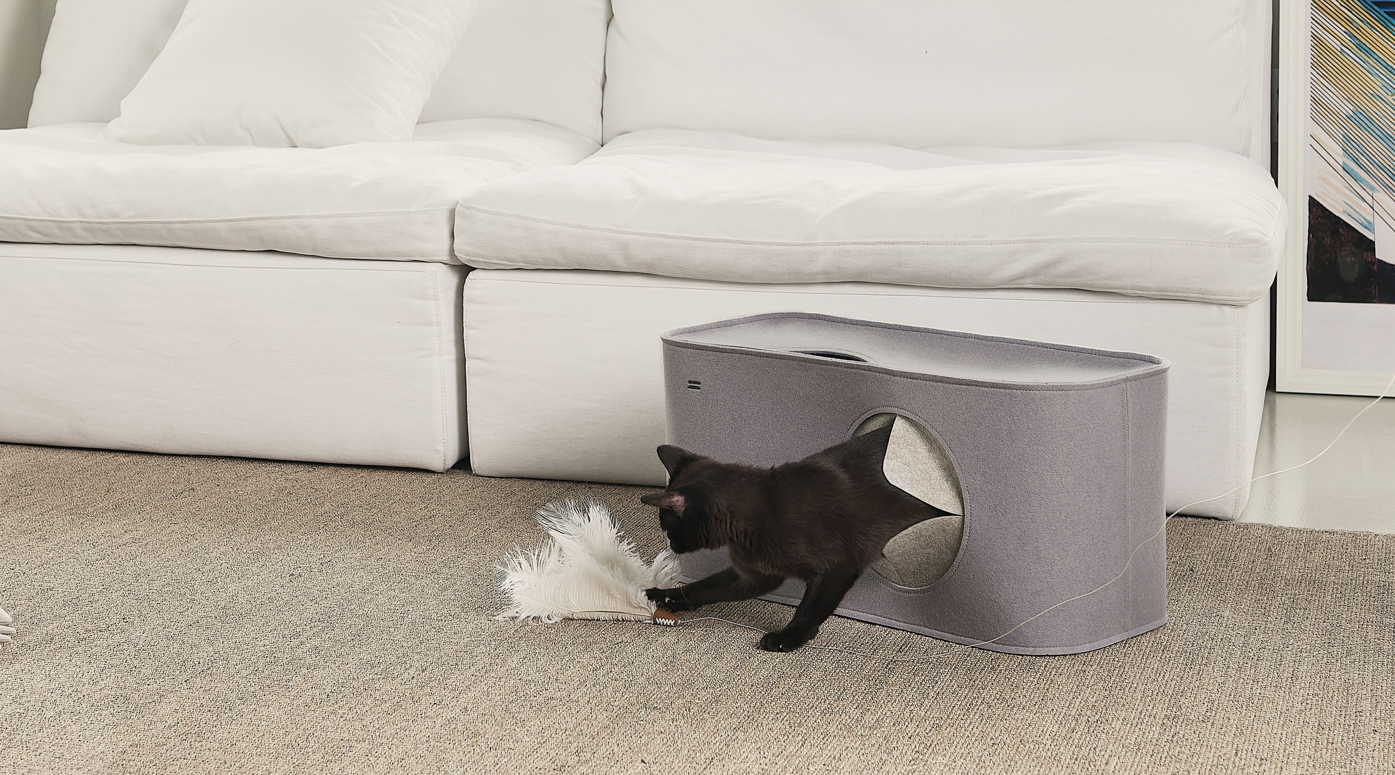 product design，leisure time，Pet accessories，