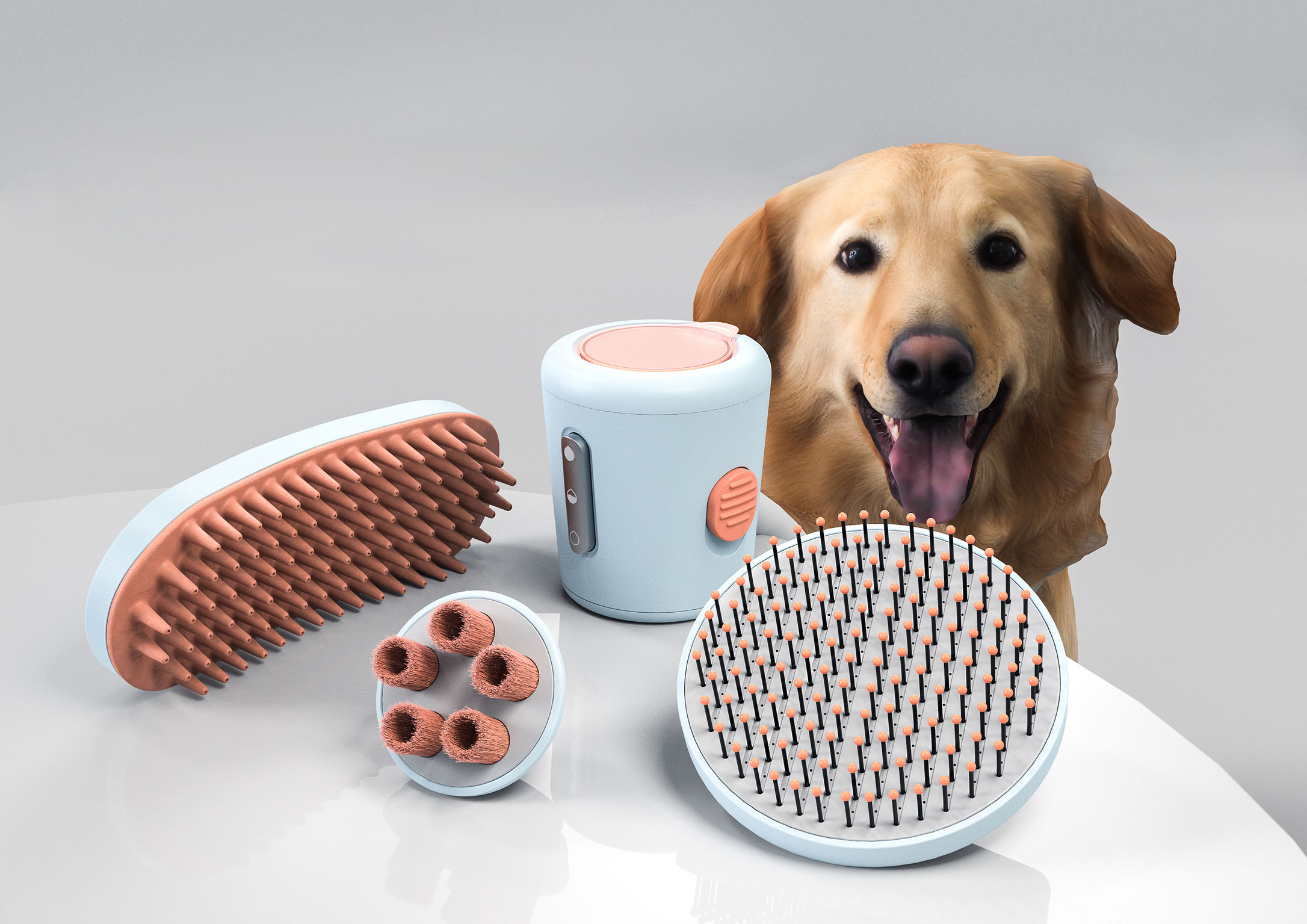 product design，leisure time，Pet accessories，