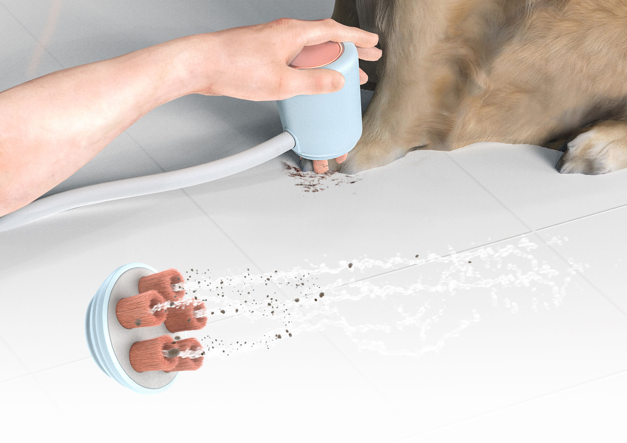 product design，leisure time，Pet accessories，