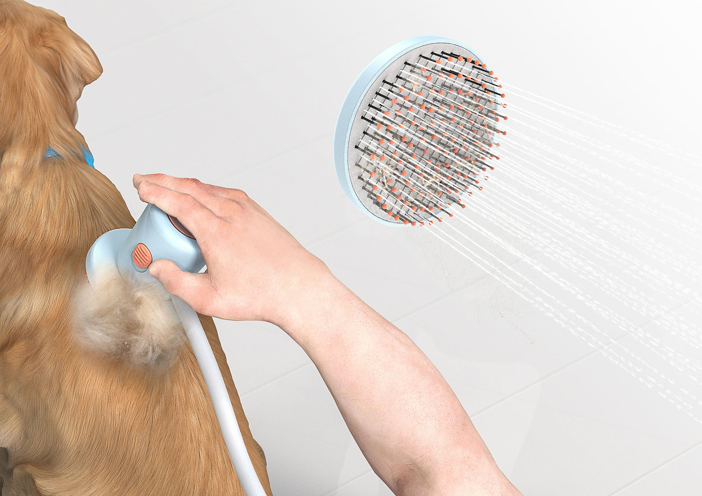 product design，leisure time，Pet accessories，