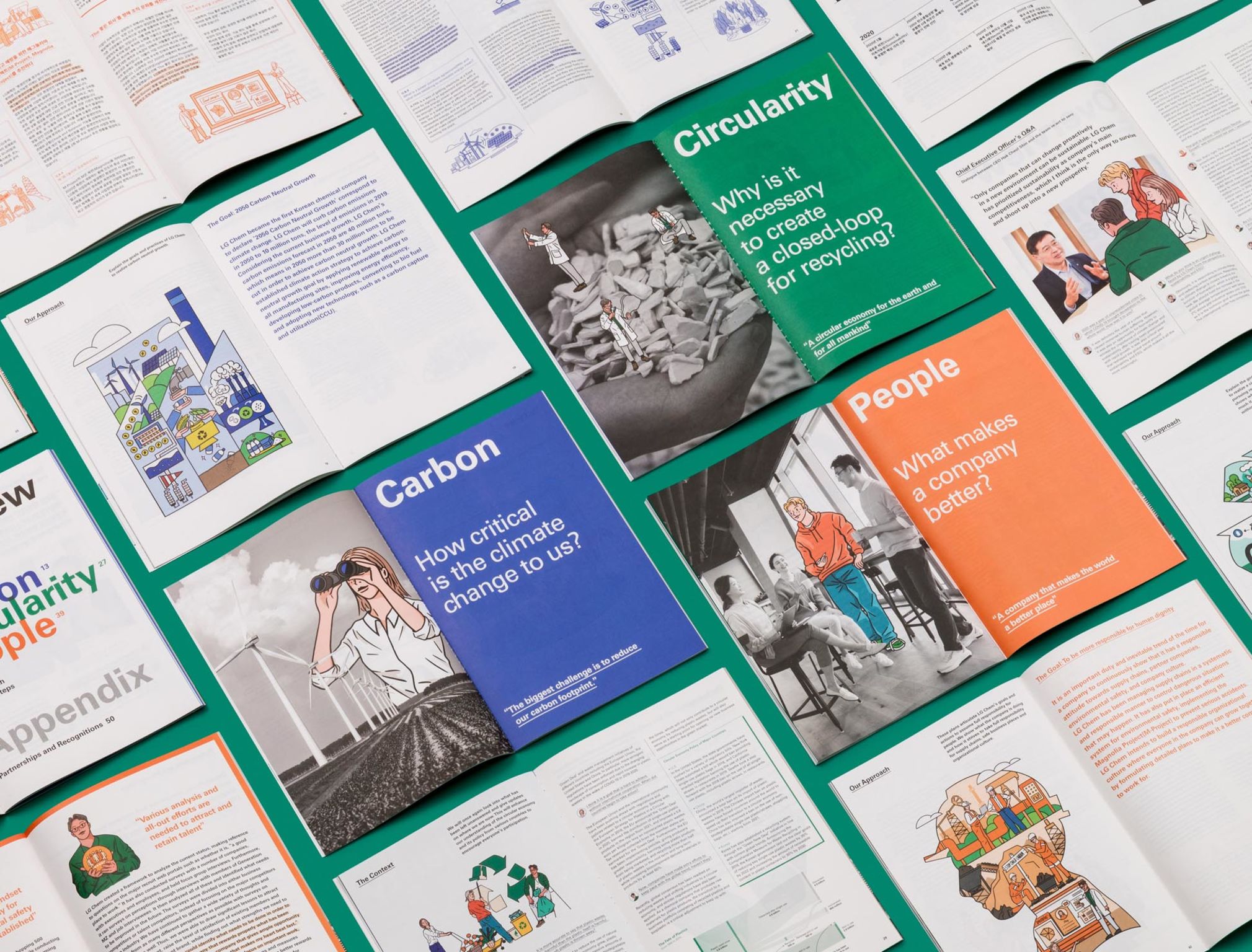 Communication design，Printed publications，Sustainable Development Report，