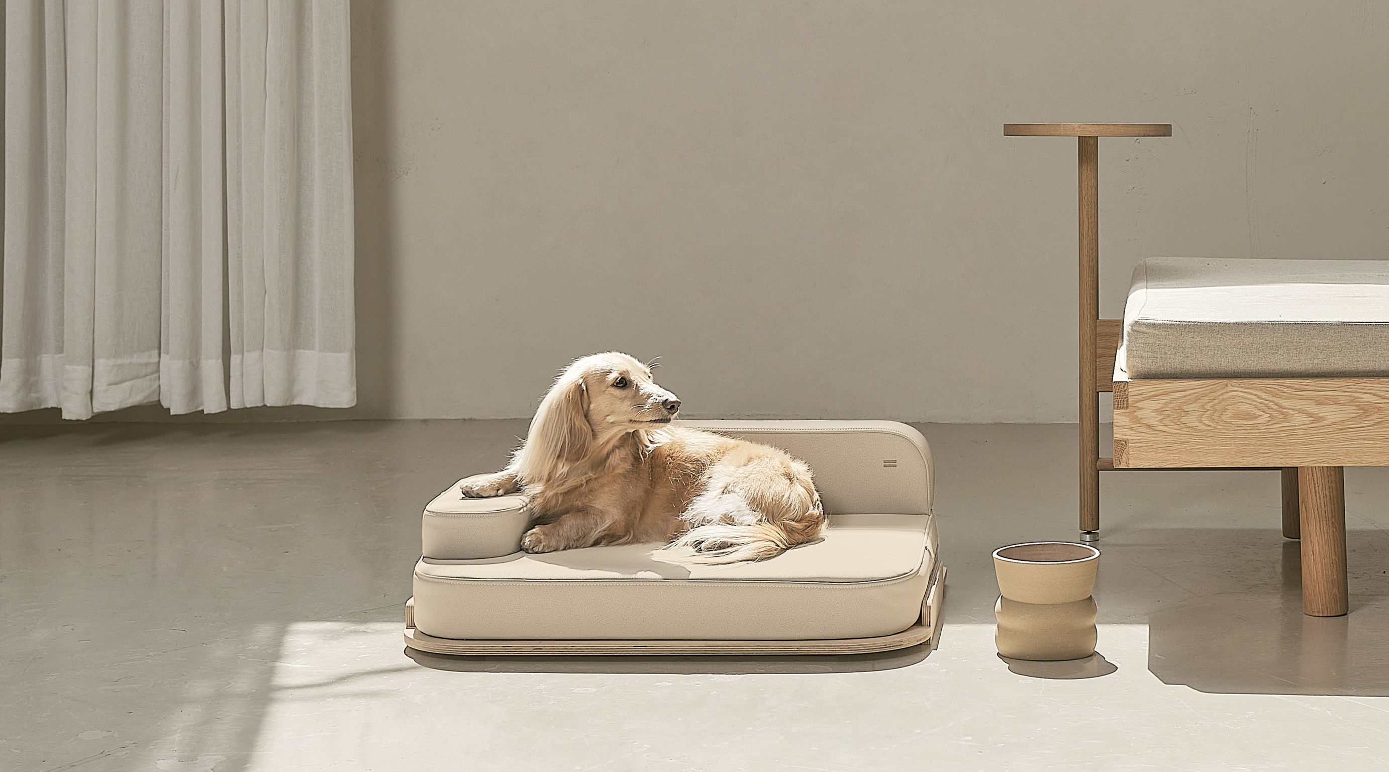 product design，leisure time，Pet accessories，