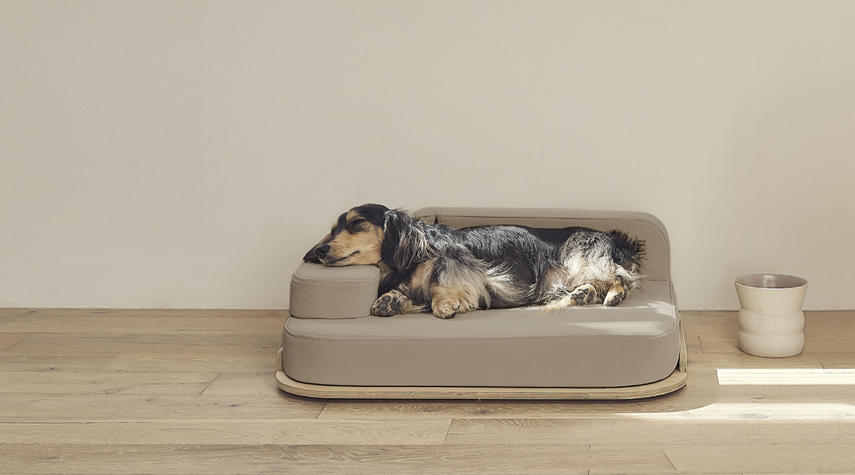 product design，leisure time，Pet accessories，